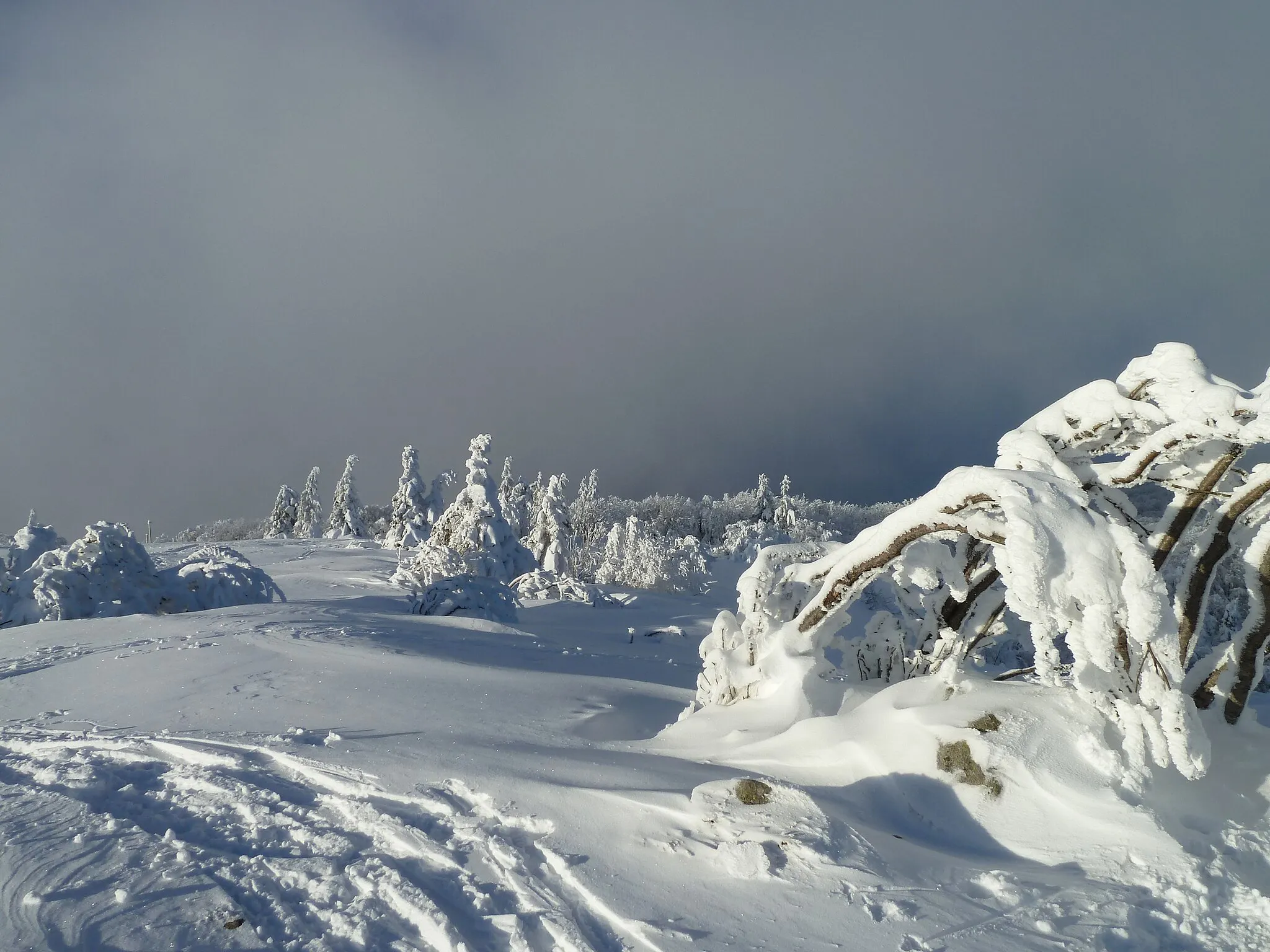 Photo showing: Hauts de la Schlucht avec arbres gelés (Hautes-Vosges)