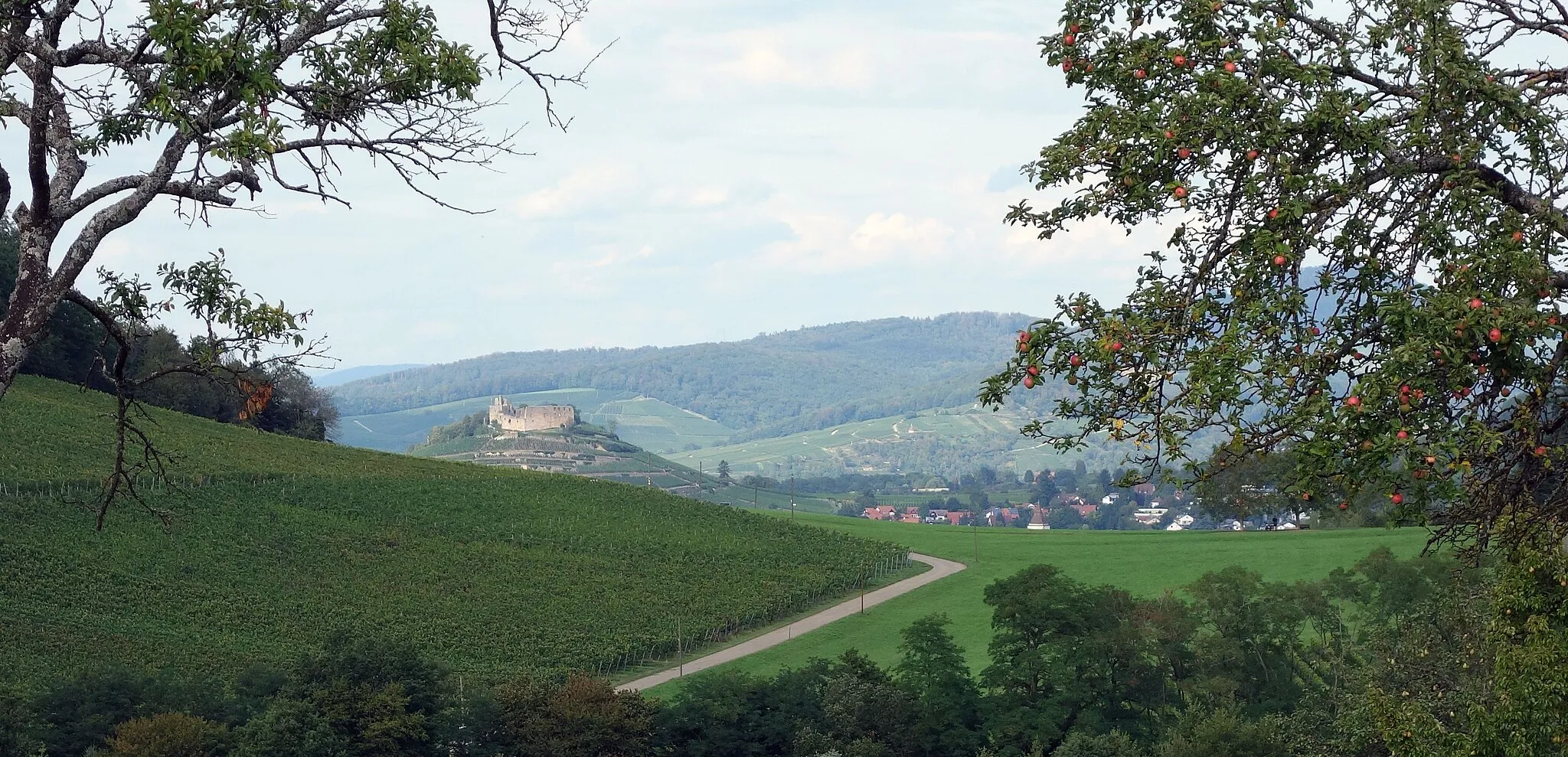 Photo showing: Burgruine Staufen vom Castellberg