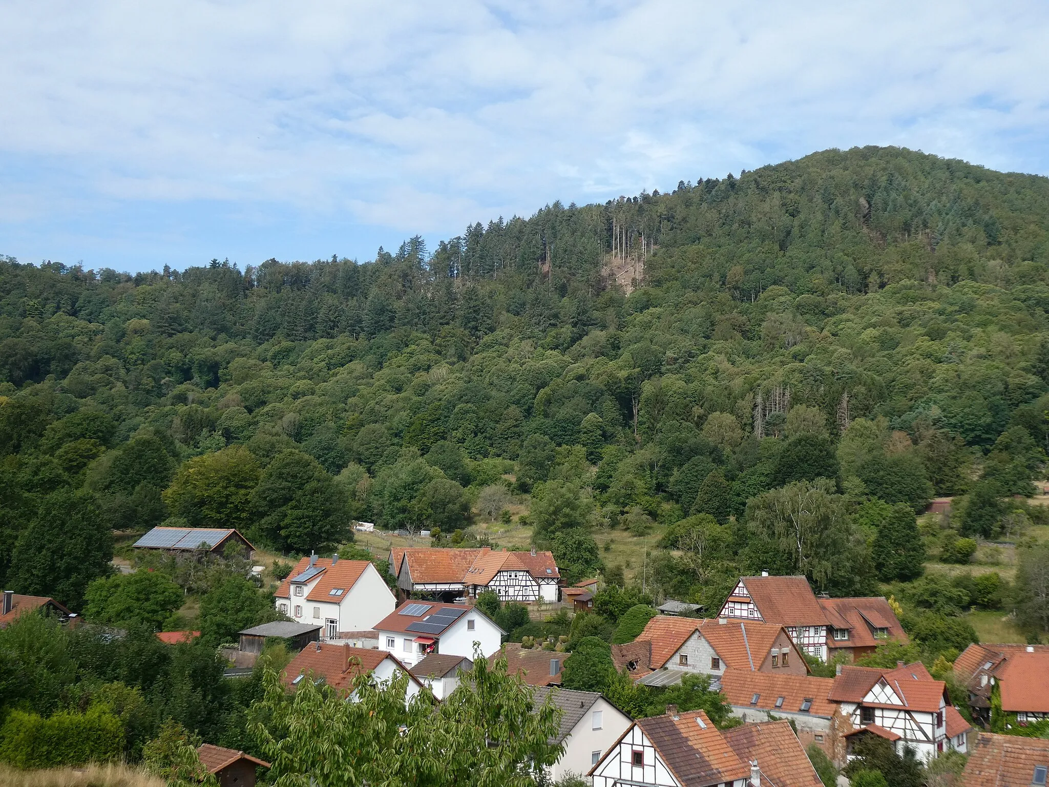 Photo showing: Naturschutzgebiet Zeppelinhalde bei Nothweiler unterhalb des Kuhnenkopfs