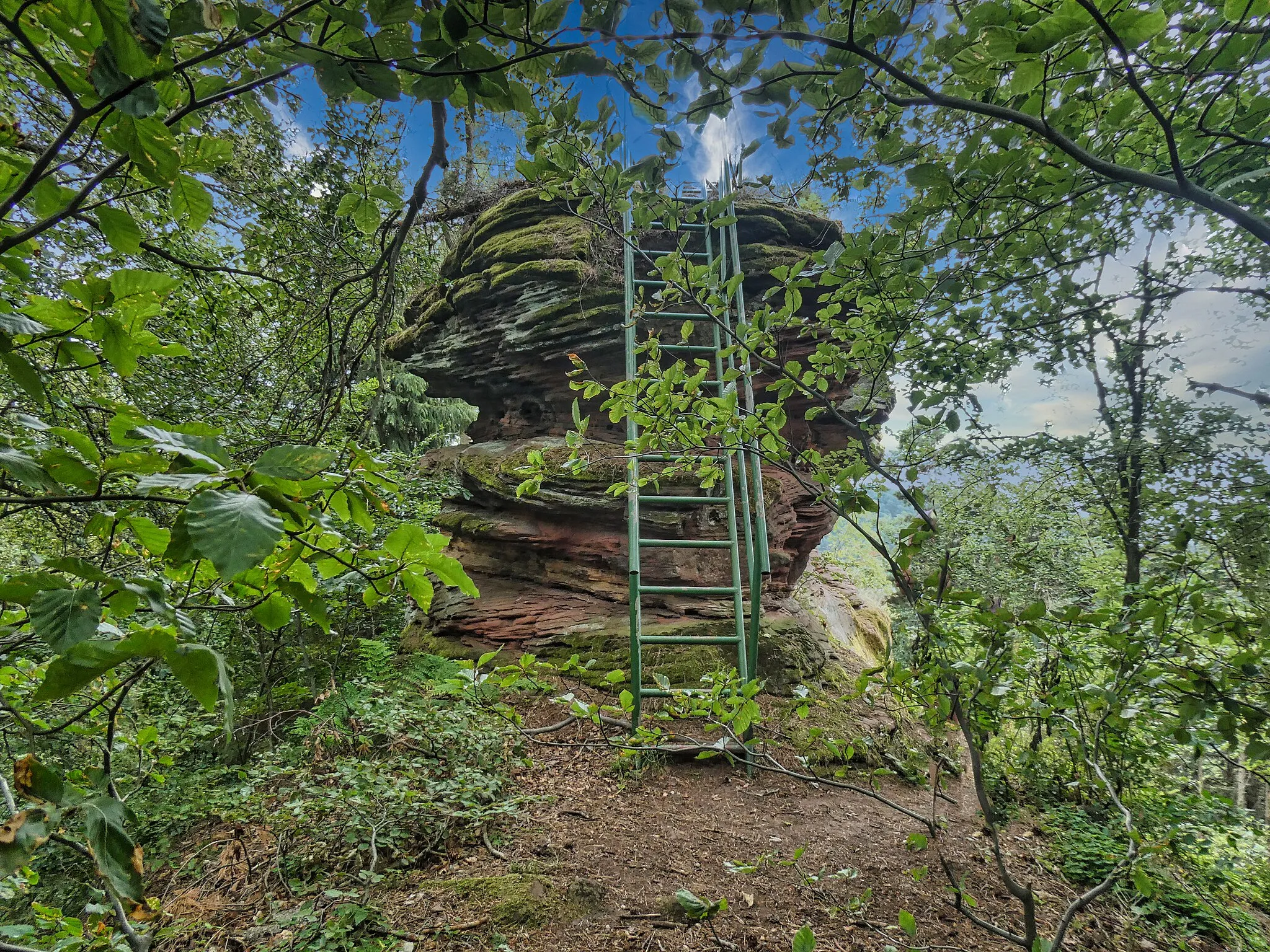 Photo showing: Kuhnenkopf - Gipfelfelsen (Wasgau, Pfälzerwald)