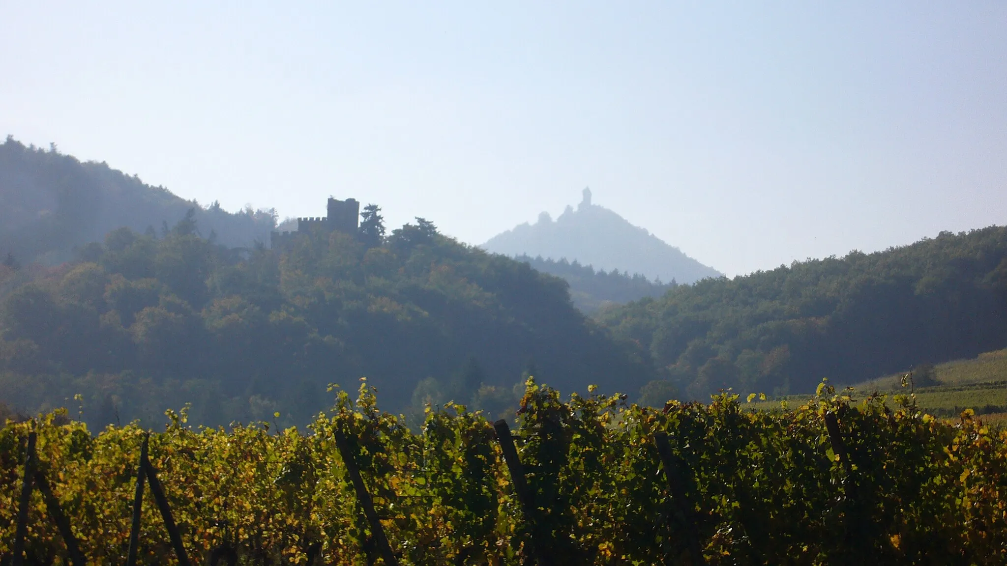 Photo showing: Vue sur les châteaux de Kintzheim et du Haut-Koenigsbourg depuis la route entre Châtenois et Kintzheim