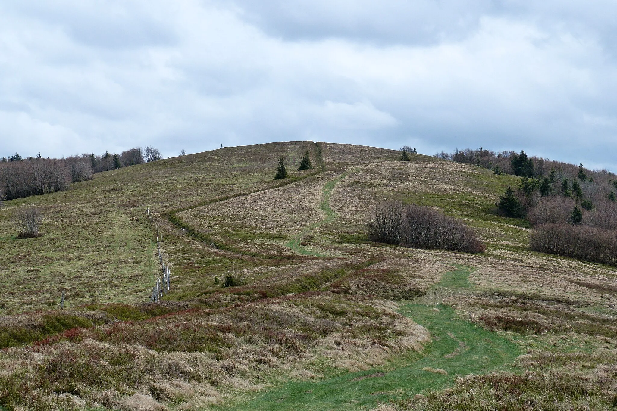 Photo showing: Le Hundskopf, depuis les abords du Schweisel, massif des Vosges (France).