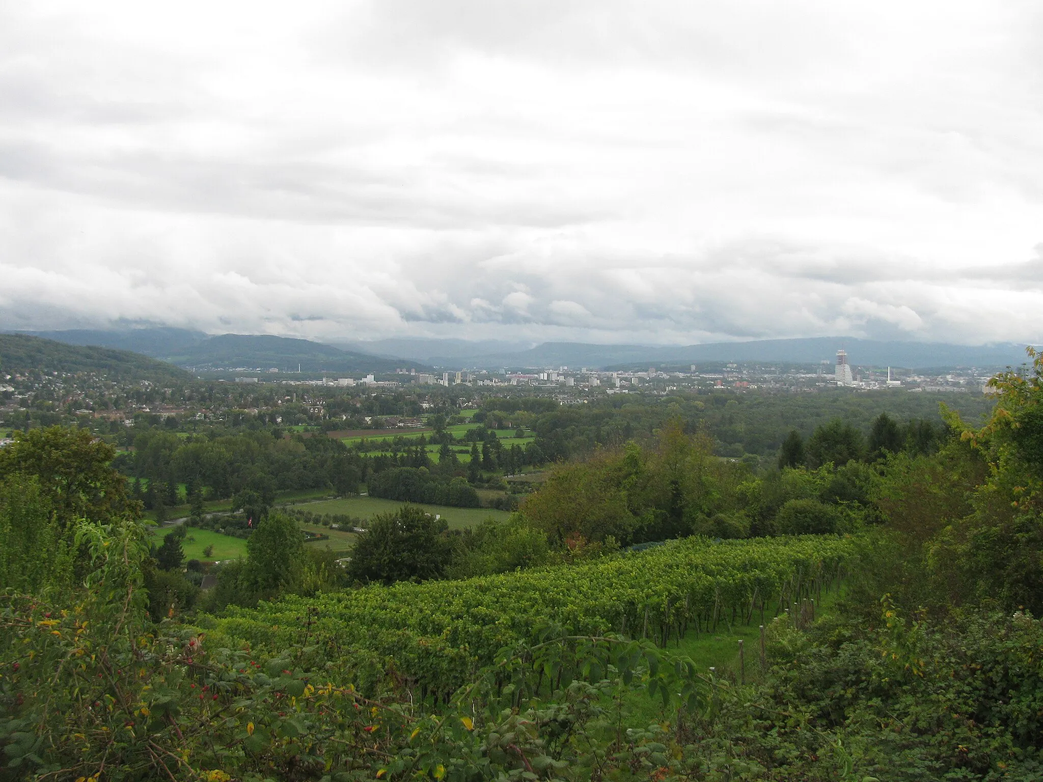 Photo showing: Blick vom Lichsenweg in Weil am Rhein auf Riehen