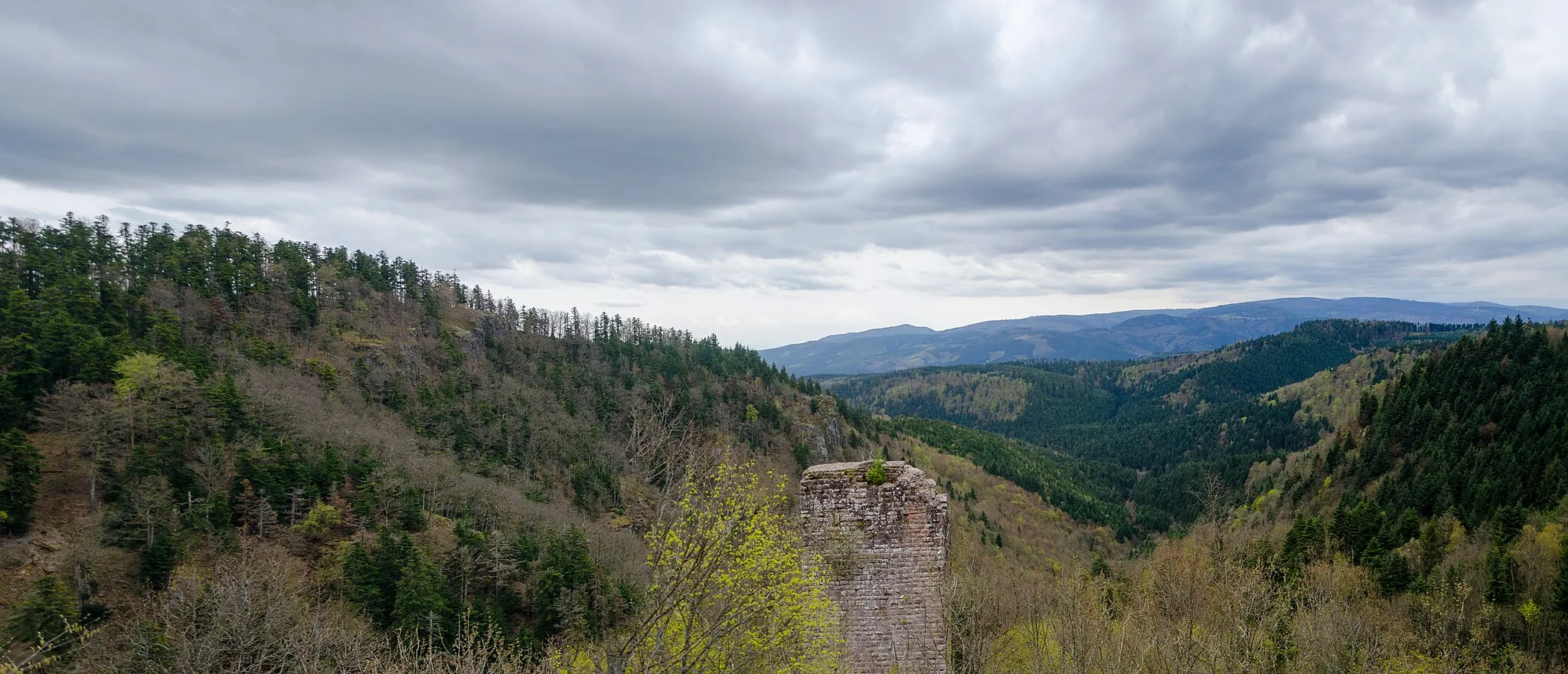 Photo showing: Du haut du donjon du Haut-Nideck, laissez-moi vous conter la légende Das Riesenfräulein (la géante) par Louis Charles Adélaïde de Chamissot de Boncourt  (dit Adalbert von Chamisso une fois passé le Rhin pendant la révolution).
Le château où jadis demeuraient les géants,
En Alsace, a nom Nideck depuis fort longtemps.
Il n'en reste que ruines, balayées par le vent.
Des géants, nulle trace, hormis un conte d'antan.
Ecoute en le récit : la fille des géants,
Innocente et seule, jouait devant le portail.
Poussée par l'ennui, en la vallée elle descend,
Apprendre du monde d'en-bas les petits détails.
Forêts et bois elle traverse à grandes enjambées.
A la hauteur de Haslach, elle entre en terre d'hommes
Dont les villages, clochers et champs ensemencés
Ont la semblance d'un monde inconnu qui l'étonne.
Intriguée, ses regards scrutent la terre à ses pieds,
Elle remarque un paysan qui laboure son champ.
La frêle créature fait son labeur, affairée,
Le soc de sa charrue luit au soleil ardent.
« Eh, petit jouet, dit-elle, chez moi je t'emporte. »
Elle met genoux à terre et déplie un carré
De tissu où, d'un grand geste de sa main forte,
Elle dépose tout ce qui bouge et semble animé.
A grands bonds joyeux, on sait comment sont les enfants,
Elle revient au château et se hâte vers son père.
« Eh, père, père adoré, j'ai un jouet charmant.
Oh, jamais je n'en vis pareil en notre terre. »
Le père était à table et goûtait du vin frais.
Il eut pour sa fille un regard bienveillant :
« Quelle est cette chose qui frétille dans ton tablier ?
Tu ne te tiens pas de joie. Montre-la, céans. »
Elle déplie le tissu et, avec attention,
En extrait paysan, charrue et attelage,
Qui sur la table font si belle décoration.
De joie, elle frappe dans ses mains et fait grand tapage.
Le père s'assombrit et secoue sa lourde tête.
« Ma fille, qu'as-tu fait ? En rien, ce n'est un jouet.
Un paysan ! Insensée, as-tu perdu la tête ?
Où tu l'as pris, hâte-toi de le déposer.
Sans délai et sans murmure, exauce mon voeu.
Sais-tu, sans les paysans, tu serais sans pain.
De leur labeur, les géants grandissent sous les cieux
Paysan n'est pas jouet ! Dieu nous est témoin. »
Le château où jadis demeuraient les géants
En Alsace, a nom Nideck depuis fort longtemps.
Il n'en reste que ruines, balayées par le vent.
Des géants, nulle trace, hormis un conte d'antan.

Sources : Blog ayant traduit le poème (FR) && Chateauxfortsalsace (FR) && Office du tourisme régional (Multi) && Blog d'une agence de voyage (FR)