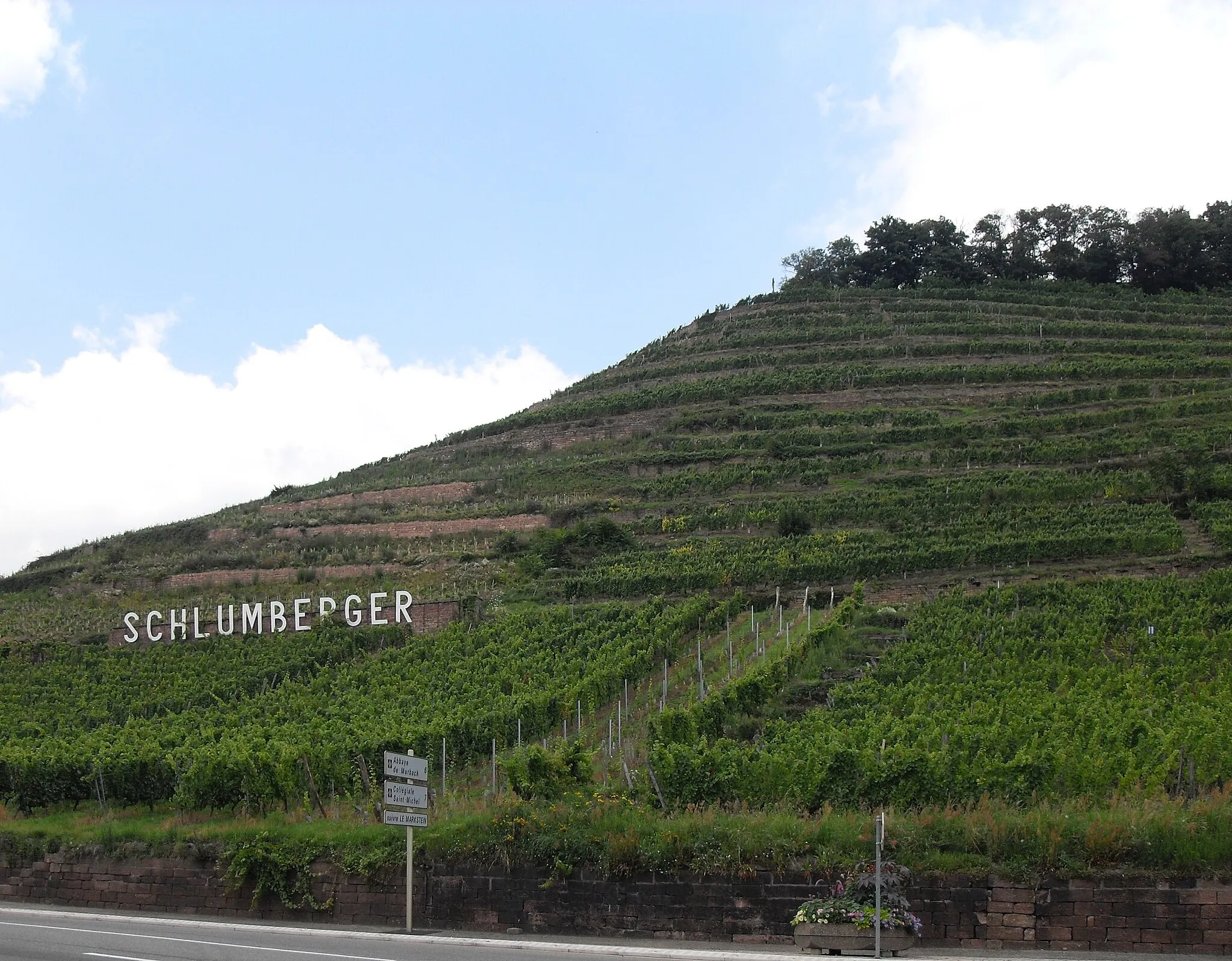 Photo showing: Les Grand Crus du Kitterlé et du Saering à Guebwiller