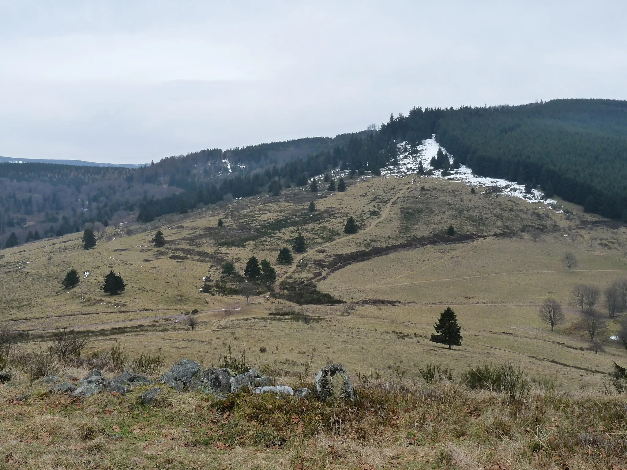 Photo showing: Mountain pass of la Perheux (Bas-Rhin)