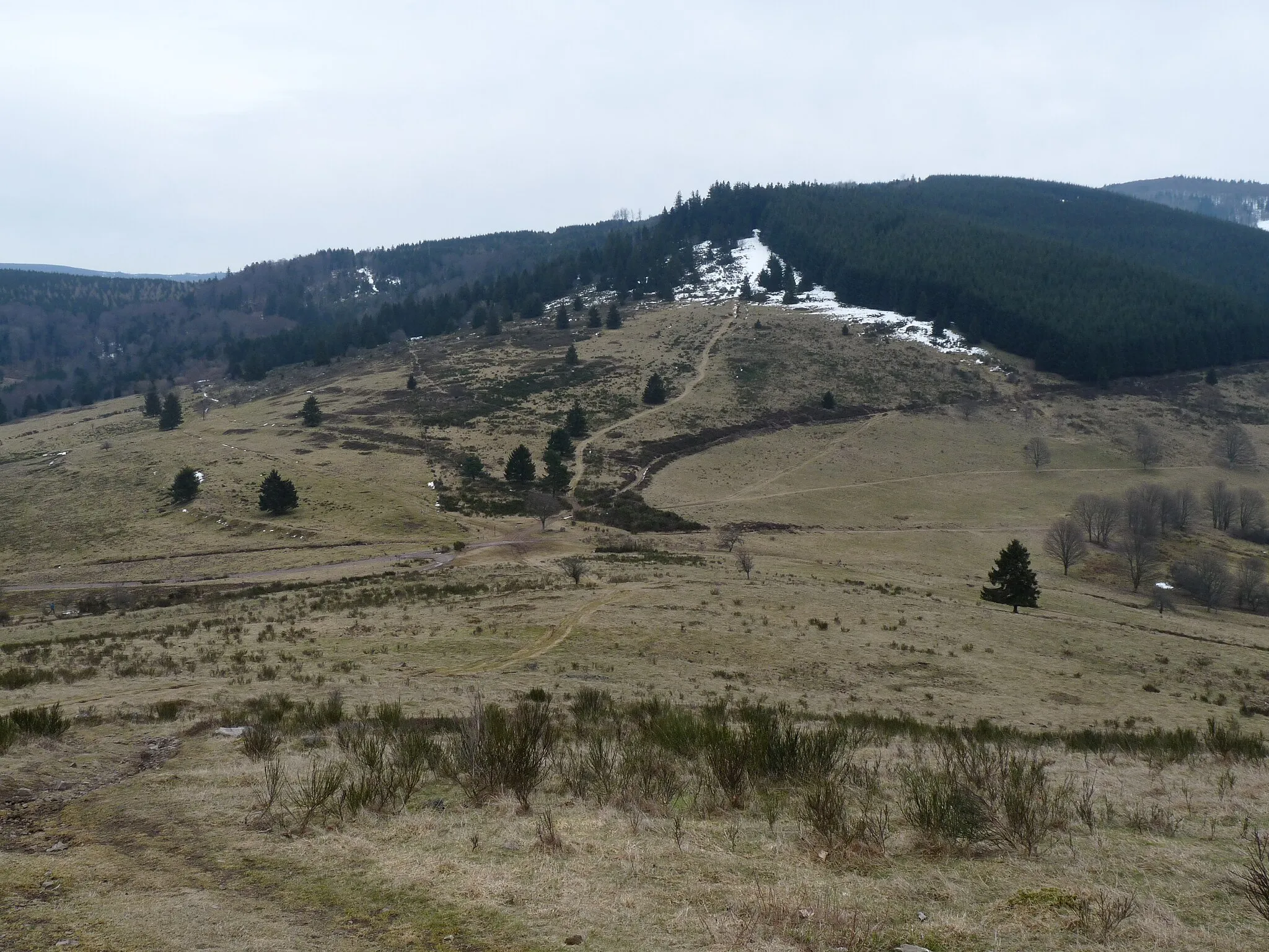 Photo showing: Mountain pass of la Perheux (Bas-Rhin)