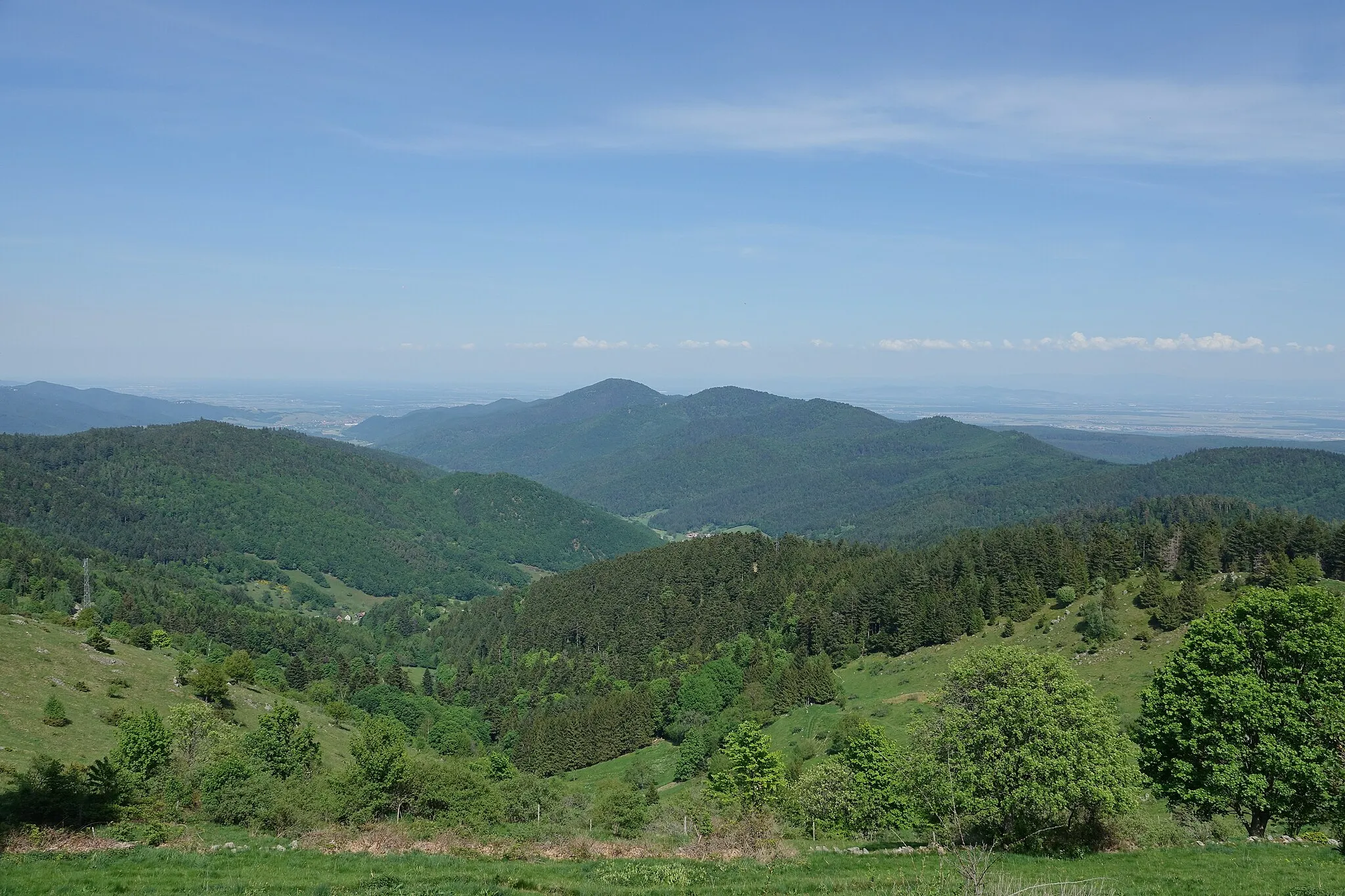 Photo showing: Paysage au Buchwald à Wasserbourg (Haut-Rhin, France).