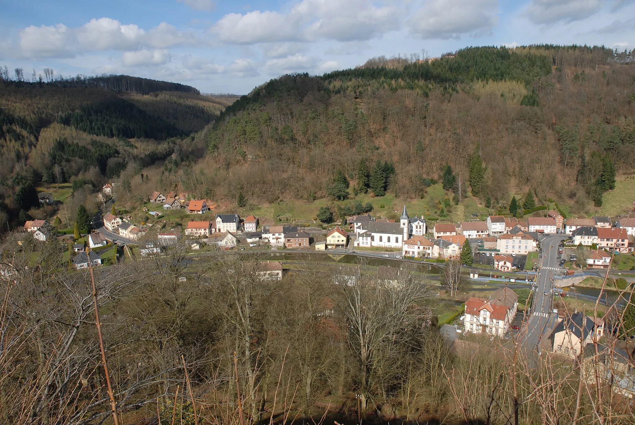Photo showing: Lutzelbourg town seen from castle.