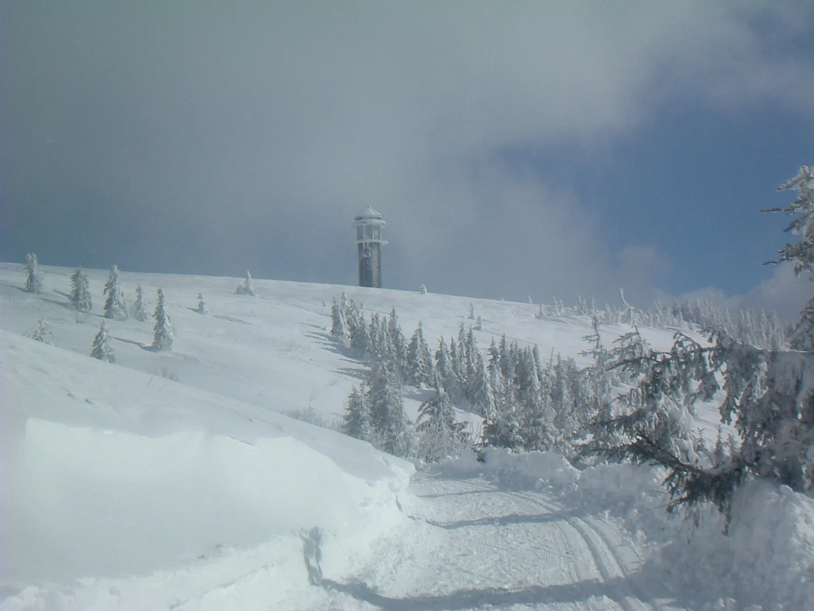 Photo showing: Am Feldberg