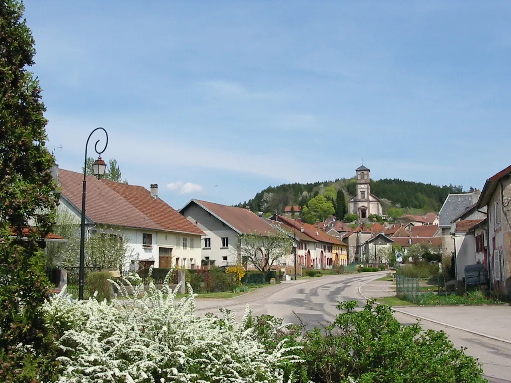 Photo showing: Lusse

Commune des Vosges
La rue principale
Photographie personnelle, prise le 3 mai 2006
Copyright © Christian Amet