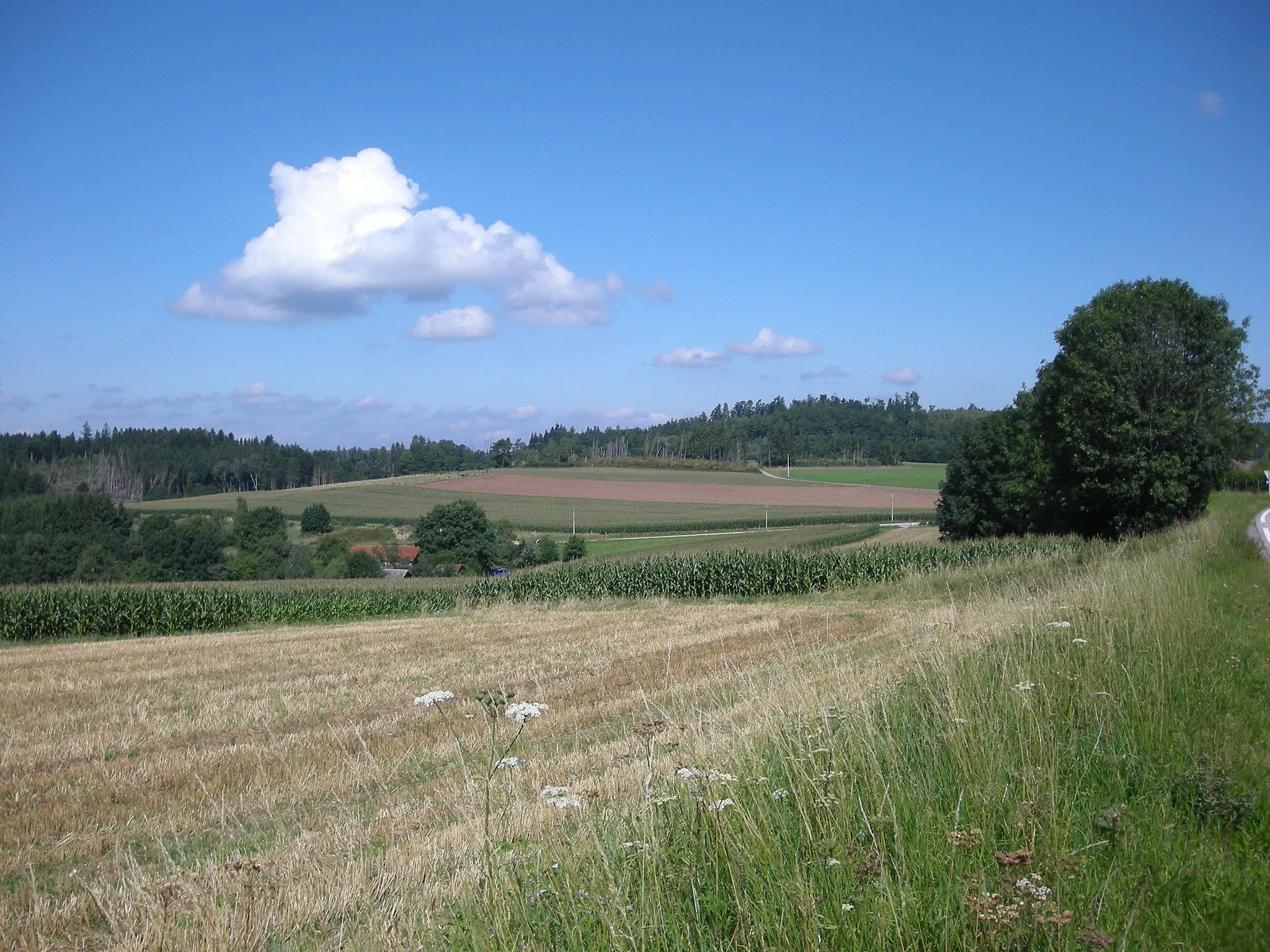 Photo showing: Col du Plafond (Vosges). Vue en direction de Corcieux.