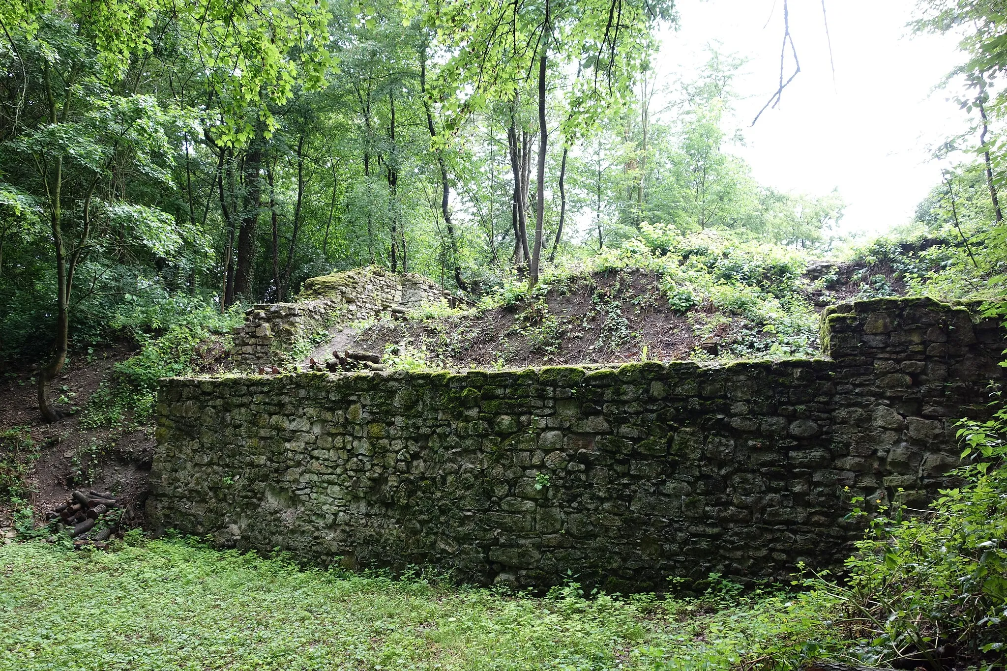 Photo showing: Die Ruinen des Château de Butenheim im Elsass, Frankreich