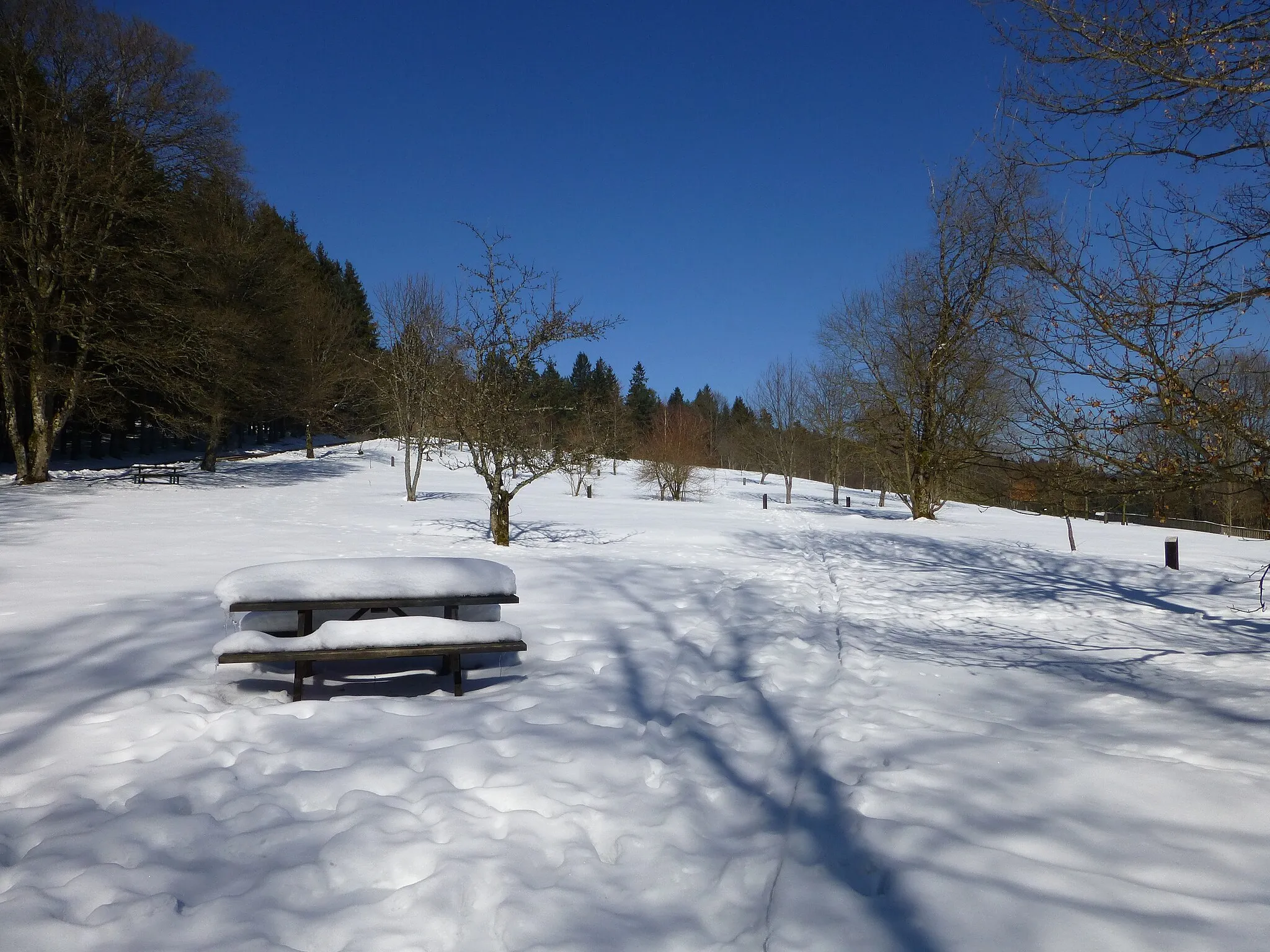 Photo showing: Col du Las (Vosges) en hiver