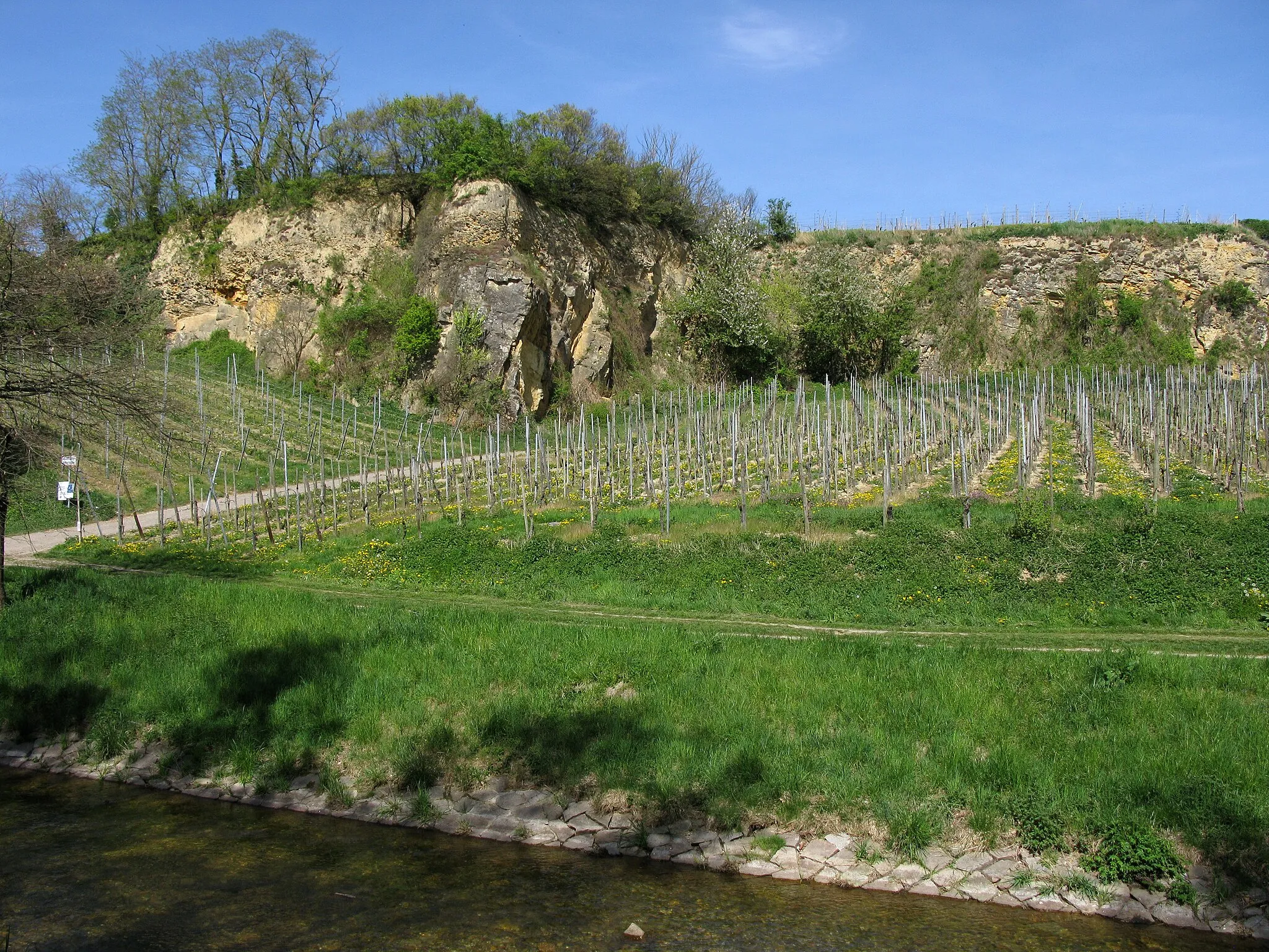 Photo showing: ehemaliger Steinbruch am Rebberg in Bad Krozingen-Biengen, im Vordergrund der Neumagen