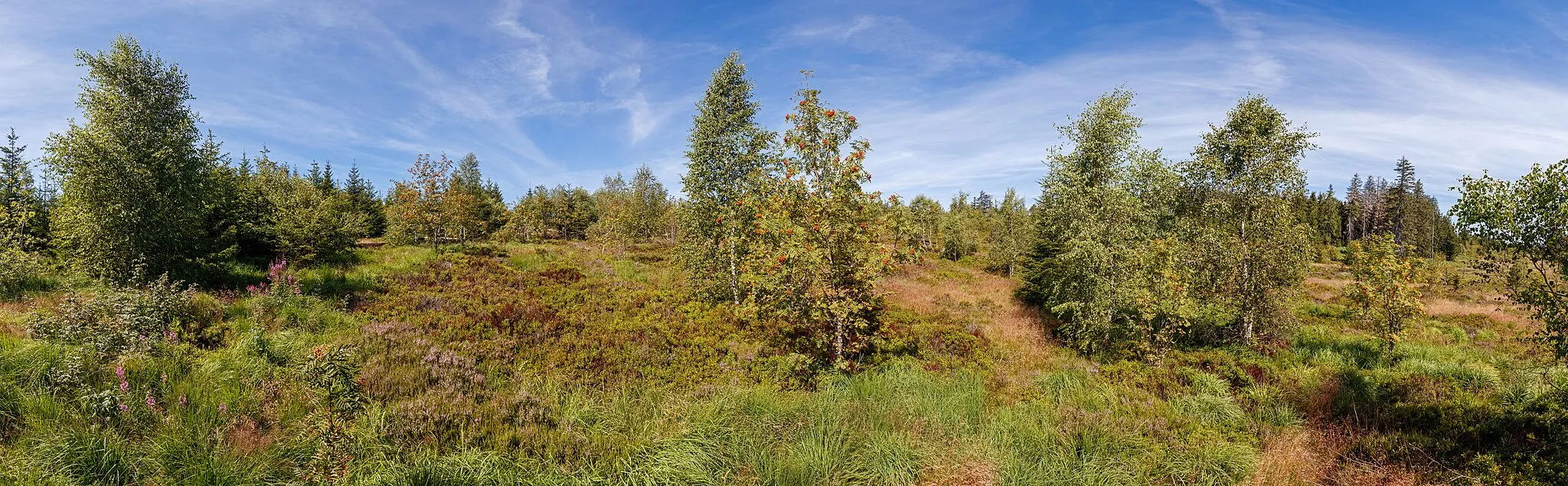 Photo showing: This is a picture of the protected area listed at WDPA under the ID