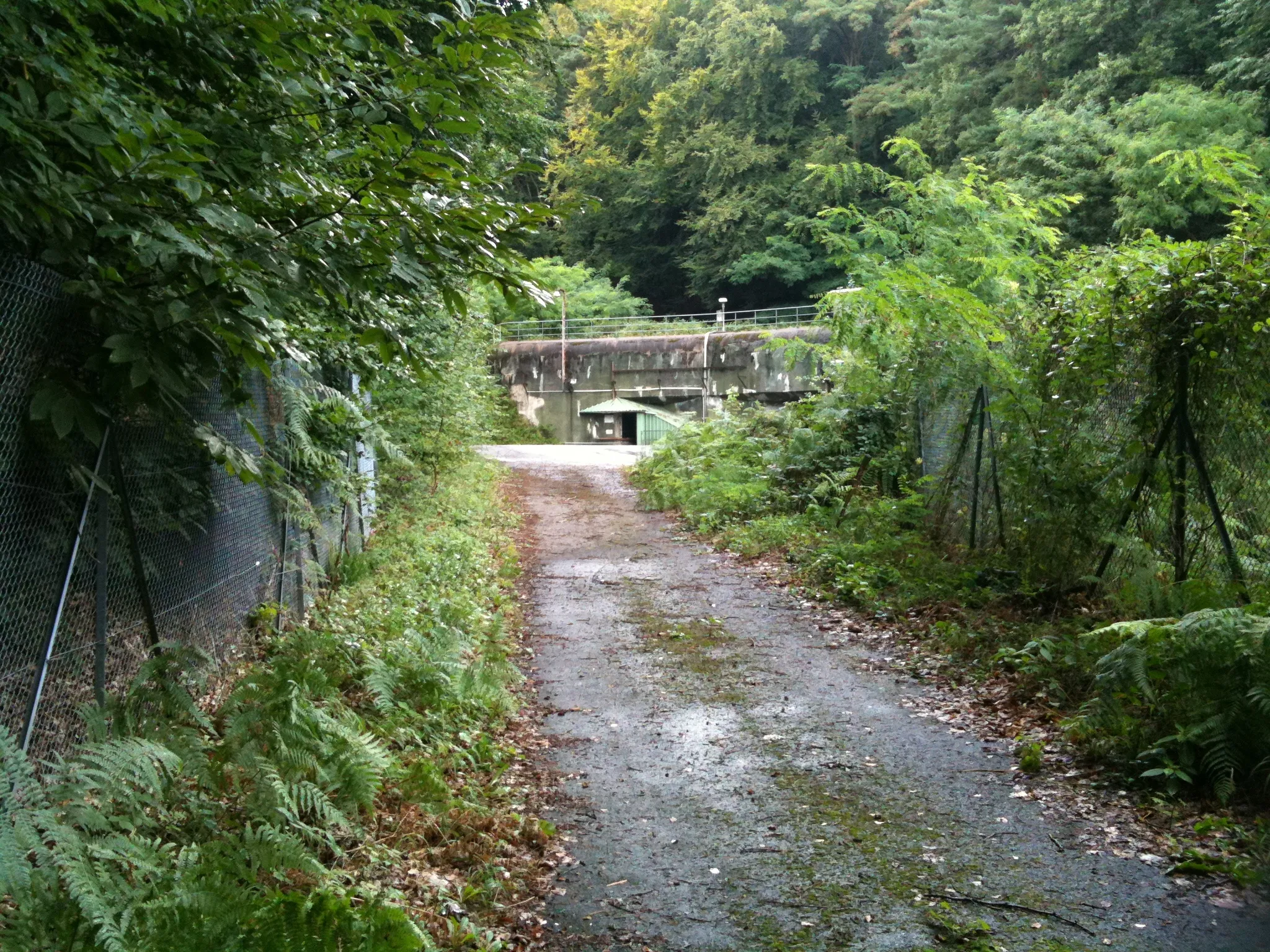 Photo showing: Vue du bloc 9 de l'Ouvrage du Hochwald