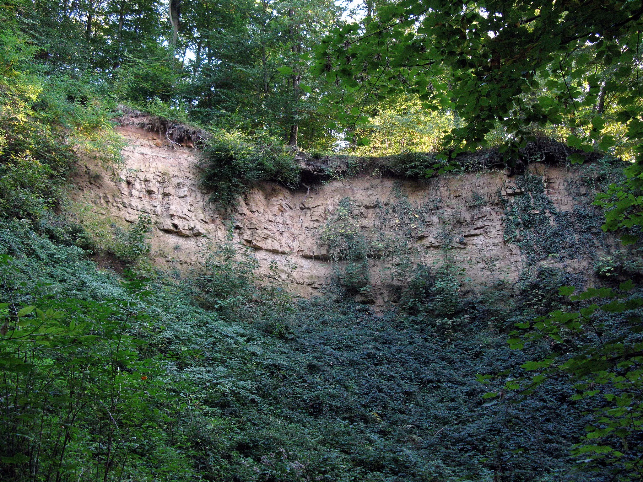 Photo showing: Pfaffenweiler, historical quarry