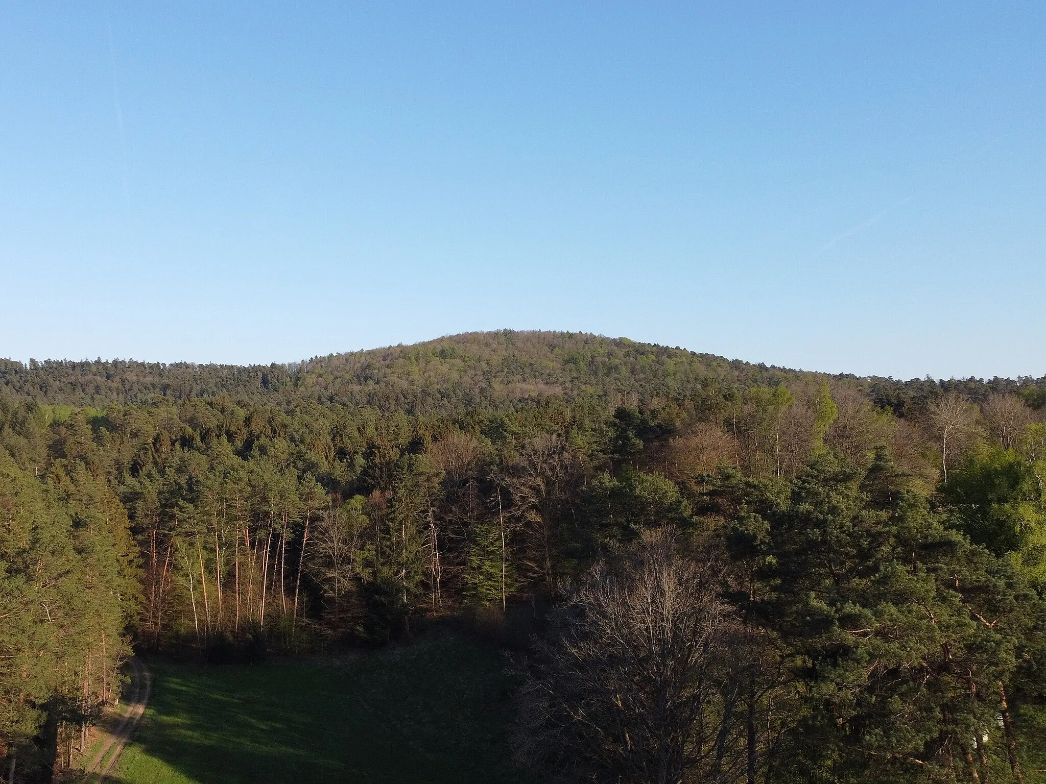 Photo showing: Der Berg Eselskopf im Pfälzerwald bei Eppenbrunn, 438,9 m. Aufgenommen von Nordwesten.