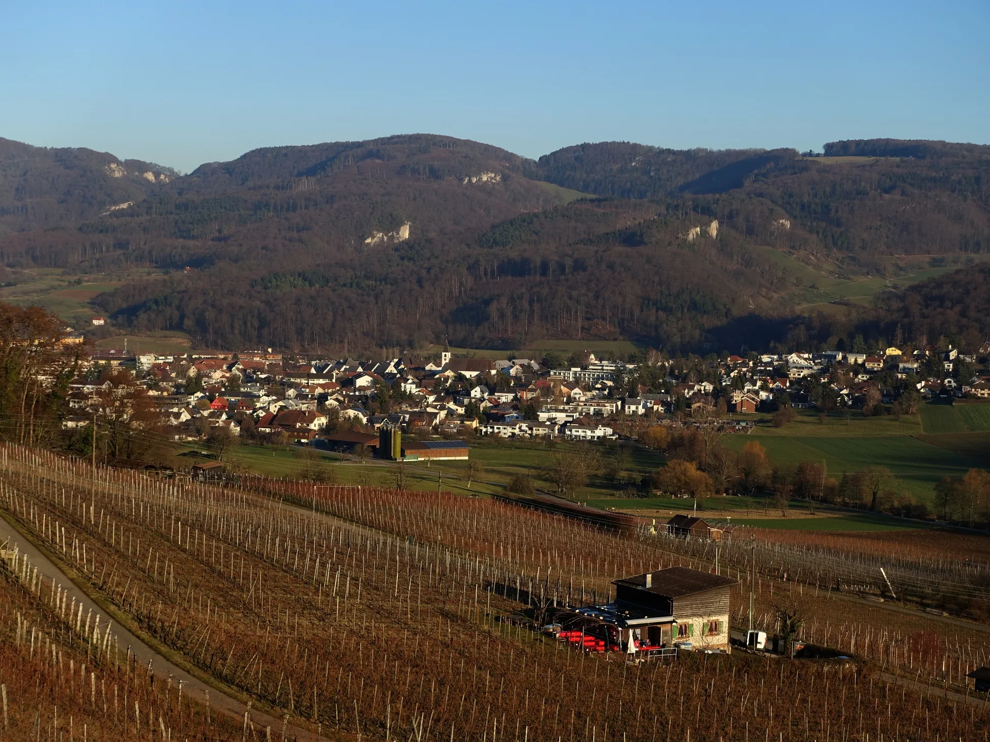 Photo showing: Aesch von dem oberen Rebbergweg in der Klus aus gesehen