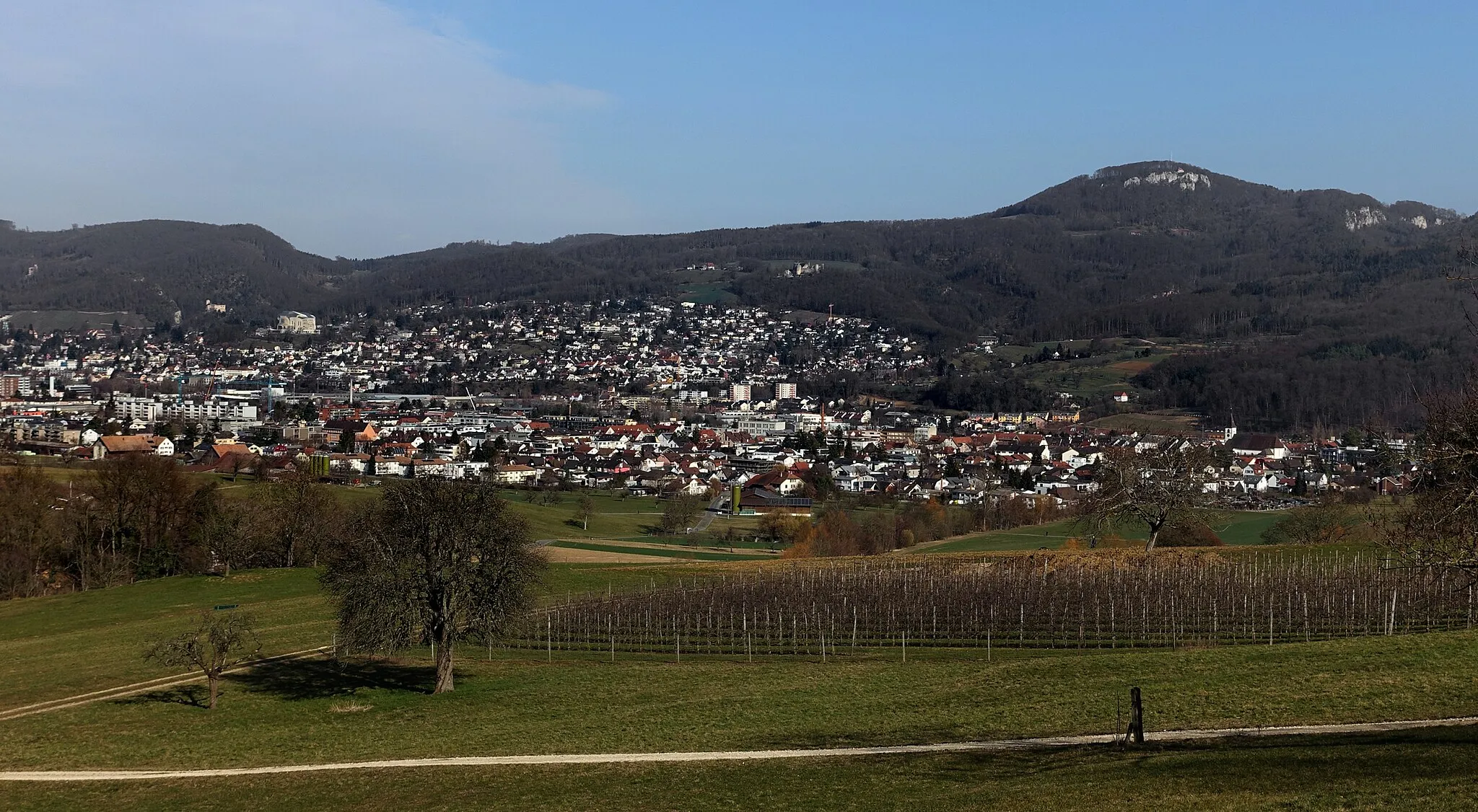 Photo showing: Panorama, Birstal, Aesch, Gempen