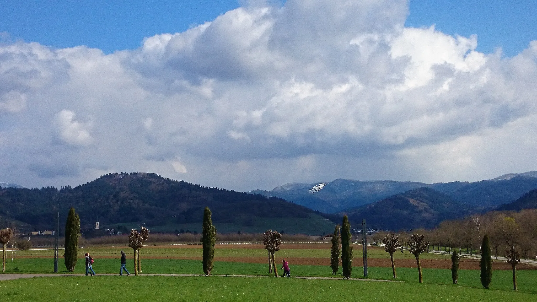 Photo showing: Heitersheim in spring