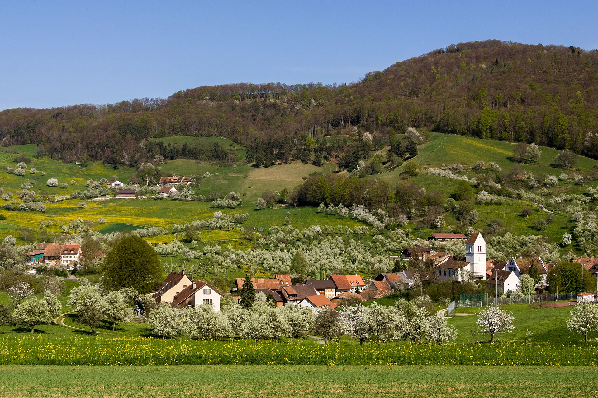 Photo showing: Oltingen (BL)