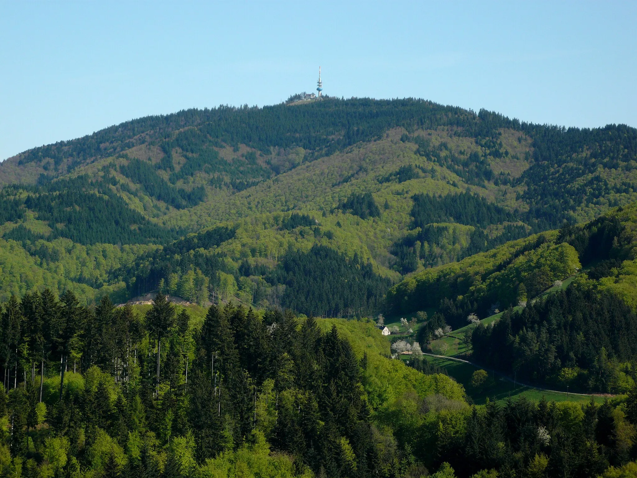 Photo showing: Hochblauen seen from South