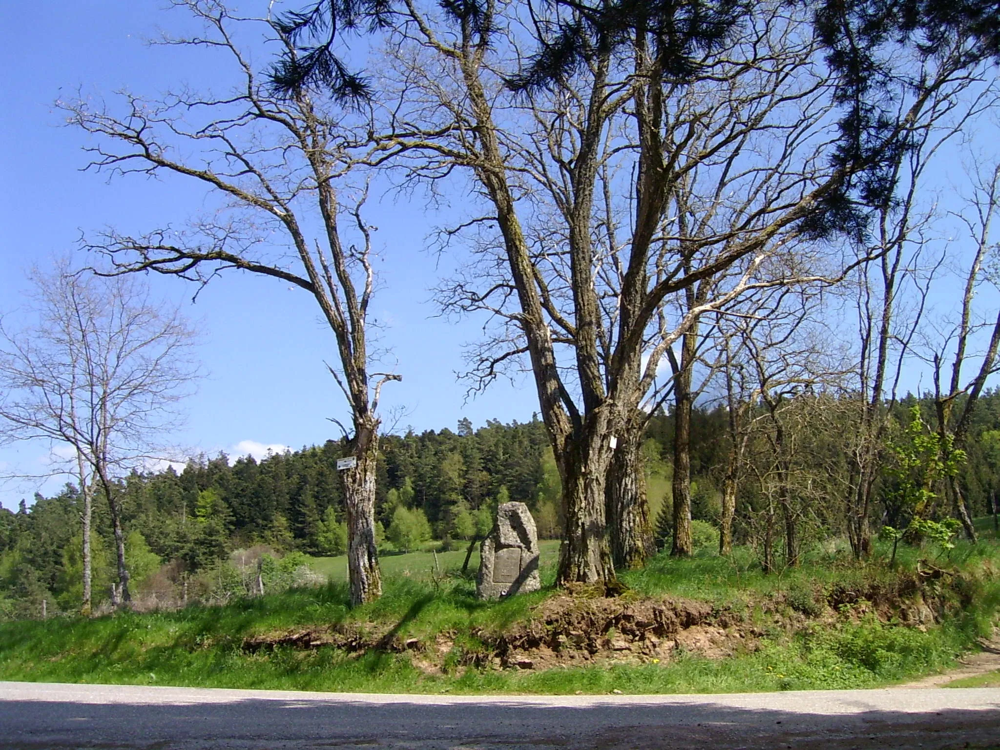 Photo showing: Passhöhe Col de Fouchy, Frankreich, Vogesen