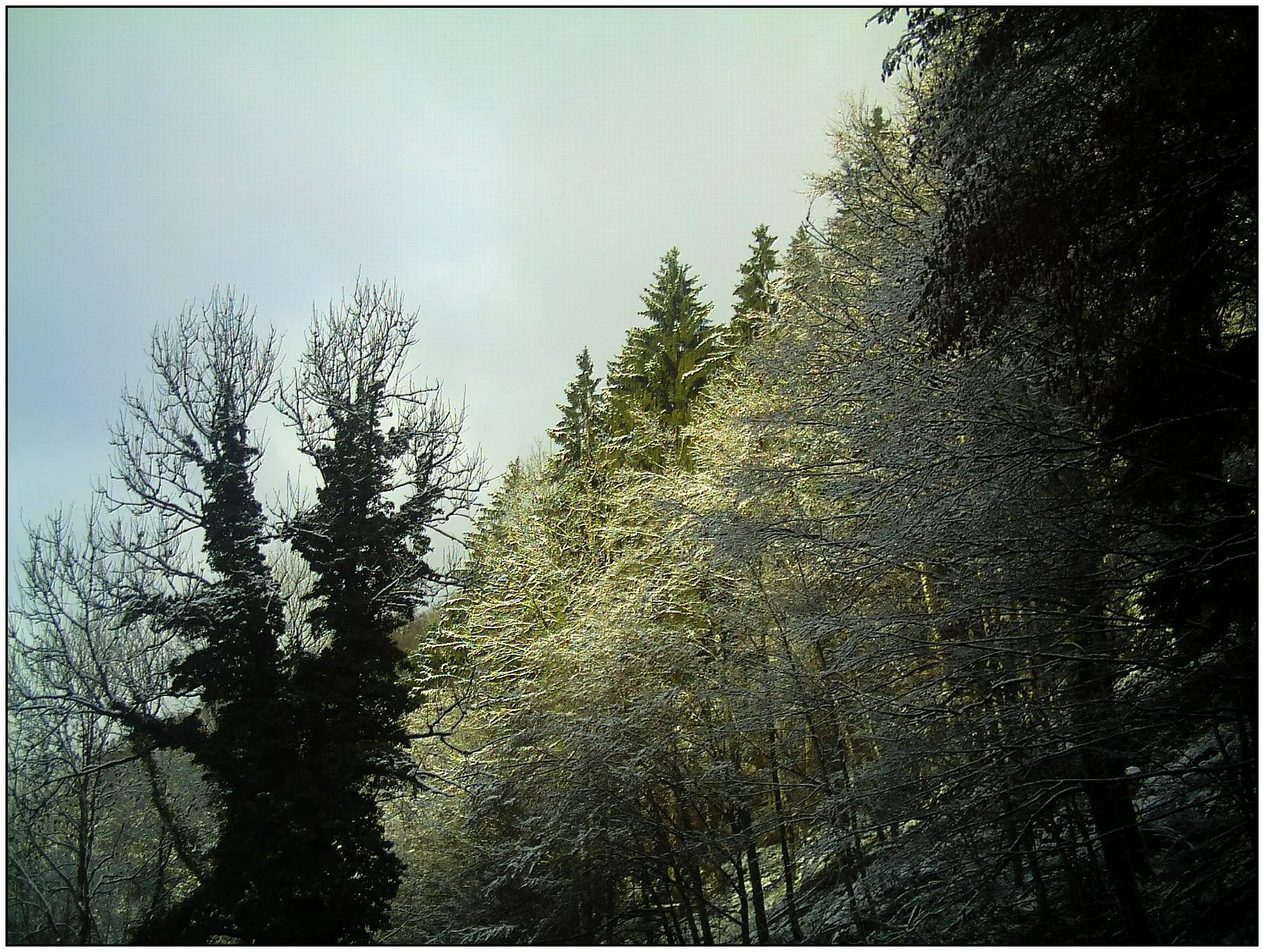 Photo showing: December Black Mountains  Foret Noir - Master Mythos Black Forest Photography 2013 Glotter creek in clouds, Rainwood