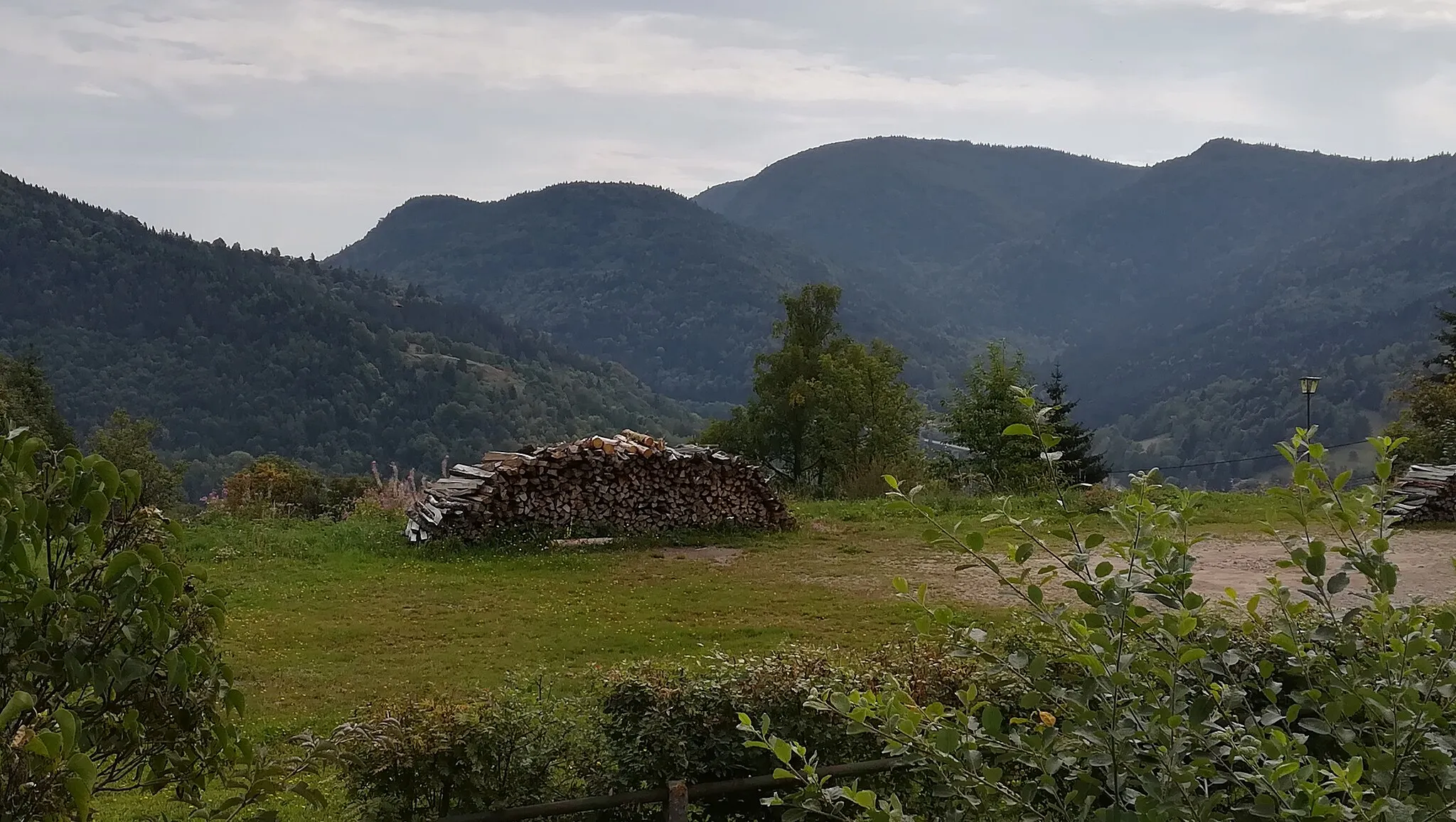 Photo showing: vue sur la tête des neufs bois 1231m