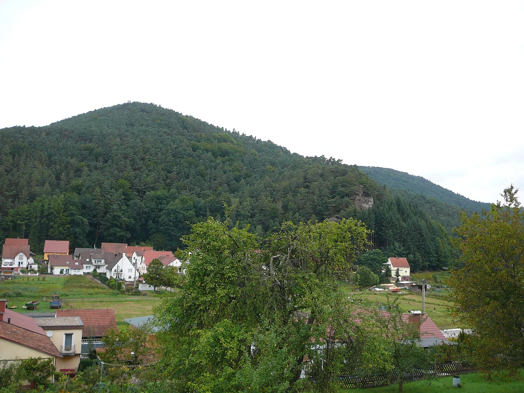 Photo showing: Göckelberg bei Wilgartswiesen: Blick vom Bahnhof auf seine Südseite.