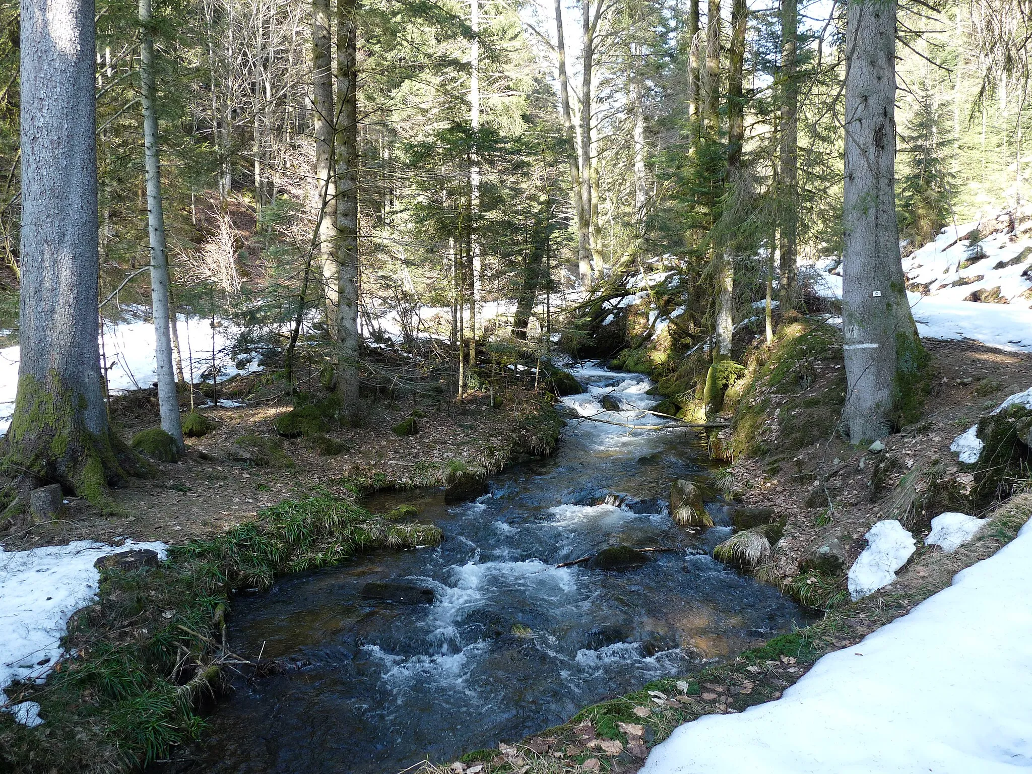 Photo showing: Rabodeau river between col de Prayé and Moussey (Vosges)