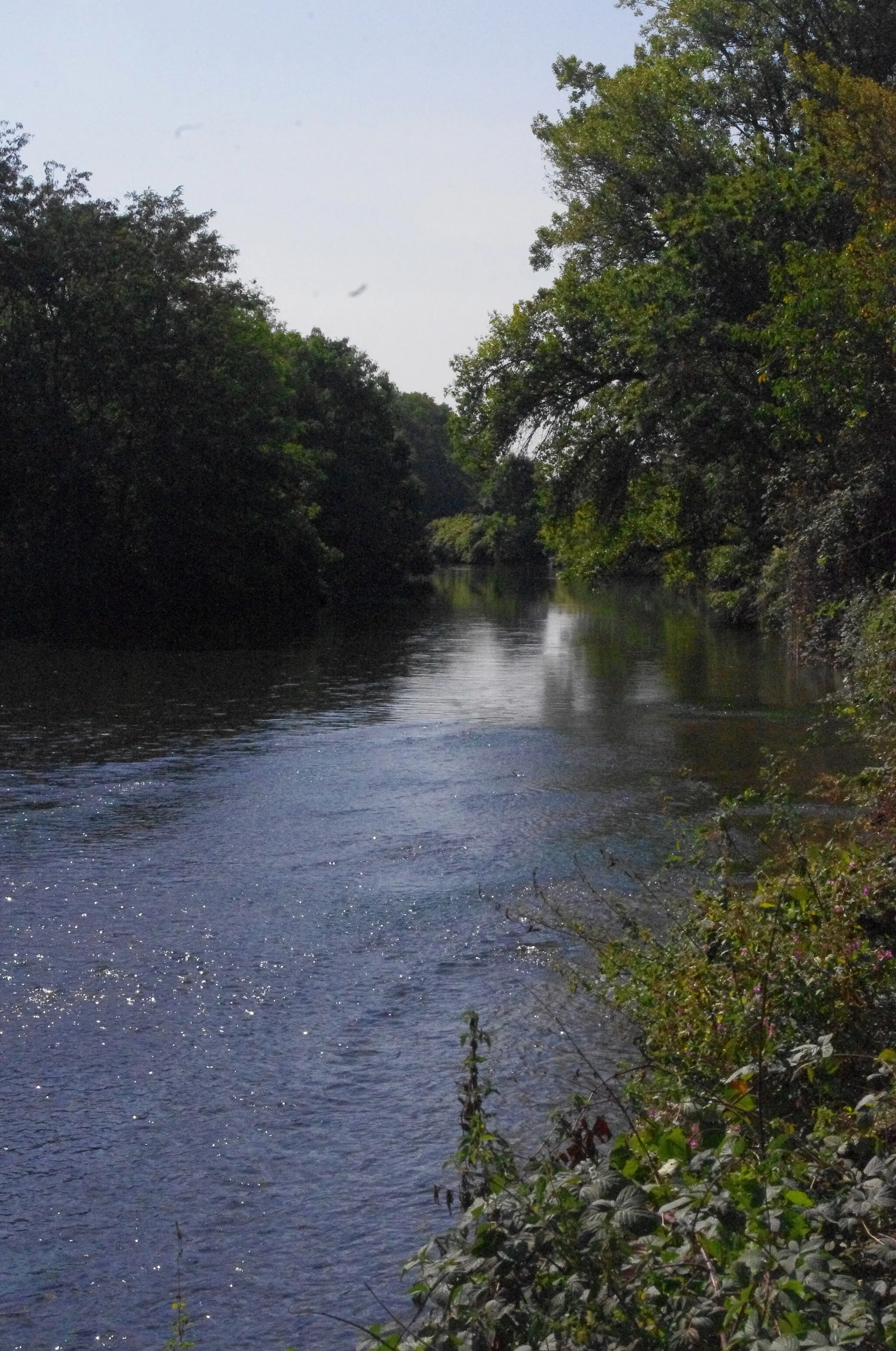 Photo showing: Photo prise en Septembre 2020. Malgré la sécheresse, le niveau de cette rivière reste relativement haut car le gestionnaire (Rivières de Haute-Alsace) injecte de l'eau du Rhin en amont à Illzach chaque été depuis plusieurs années pour maintenir le débit.