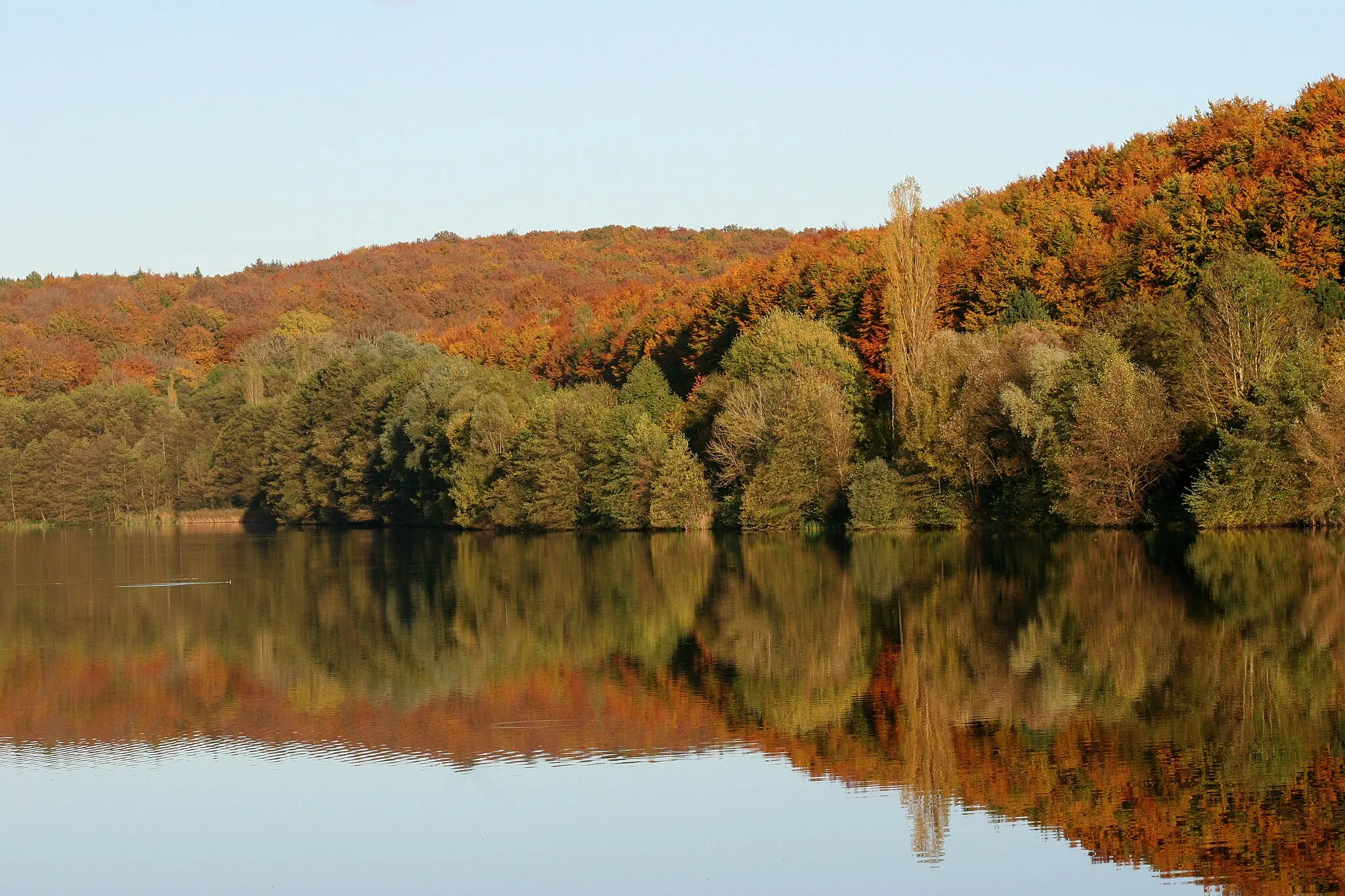 Photo showing: View of the Reichshoffen lake, classified as a Regional Nature Reserve since 1982. Photo taken from the path around the lake.