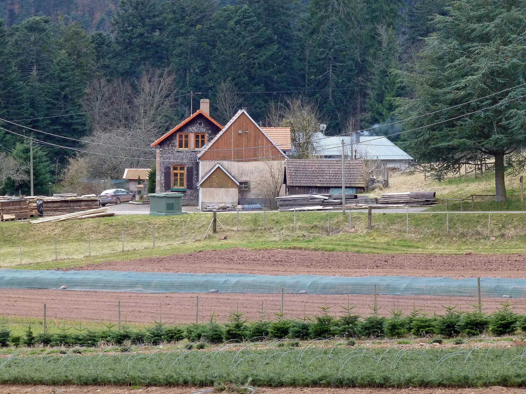 Photo showing: La Broque (Bas-Rhin) : Maison forestière de Salm ; au premier plan, plantation de jeunes sapins