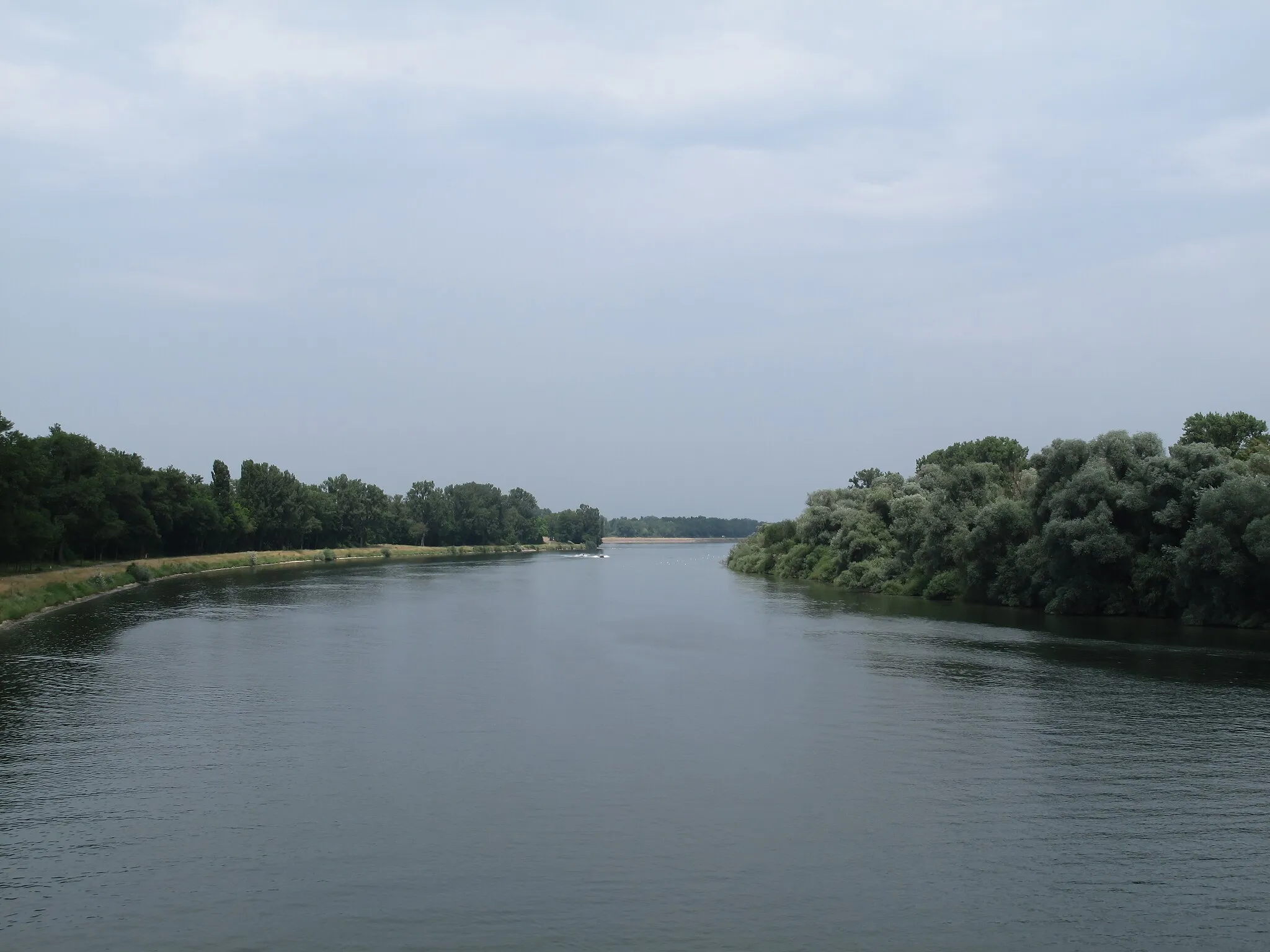 Photo showing: between Marckolsheim and Sasbach, rivier: Rhine