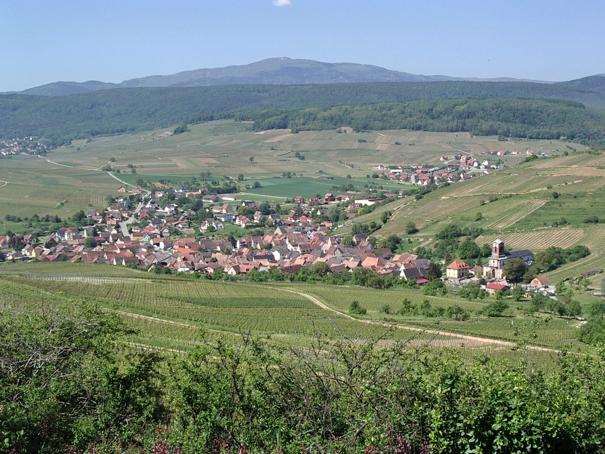 Photo showing: Vue de Westhalten, Haut-Rhin, Alsace, France