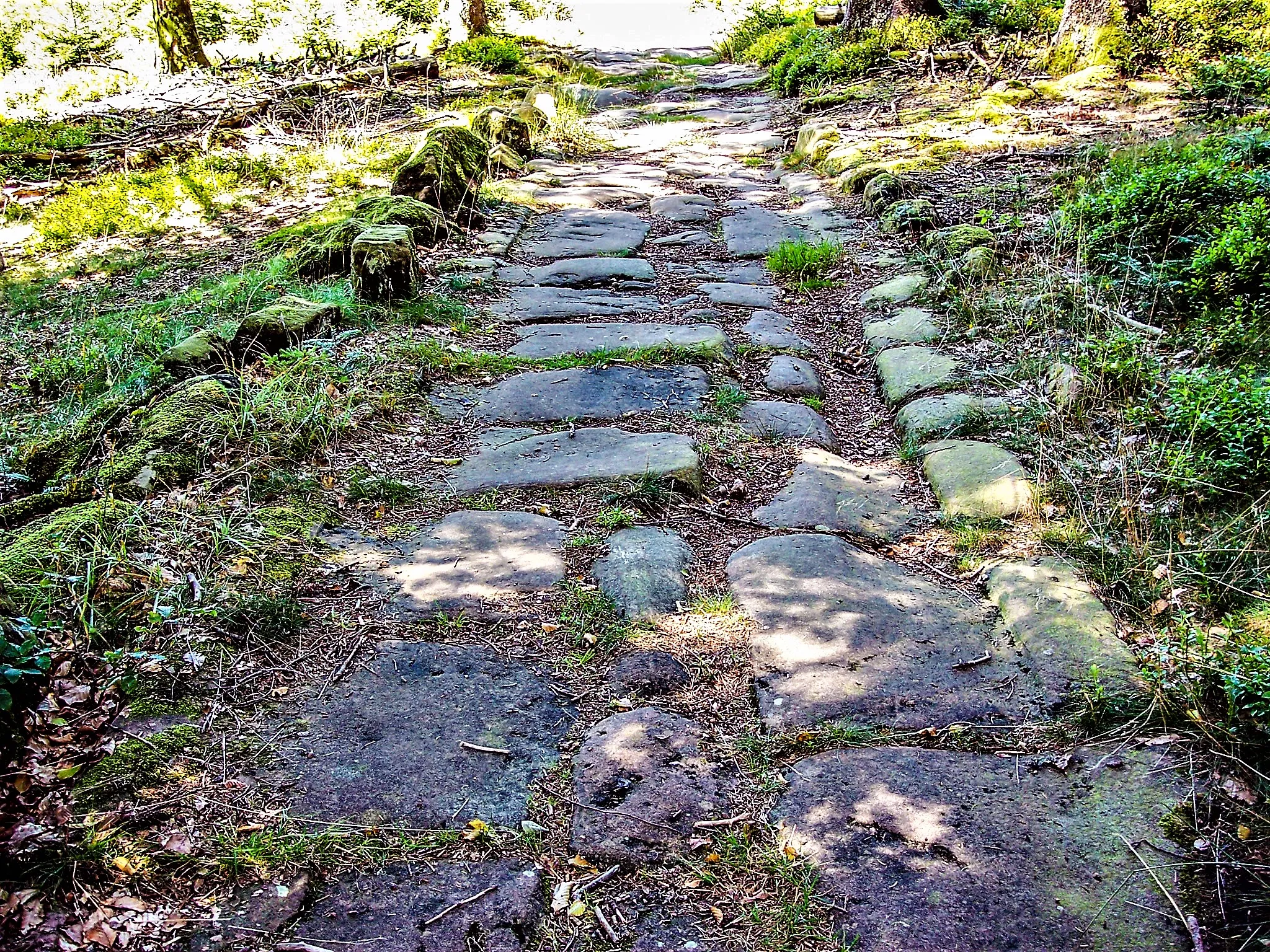 Photo showing: Ancienne voie romaine au col de la Charaille