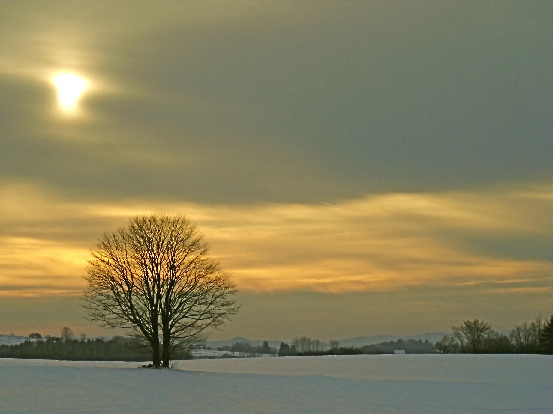 Photo showing: paysage de campagne en hiver dans les Vosges - Le Ban-de-Sapt 88033