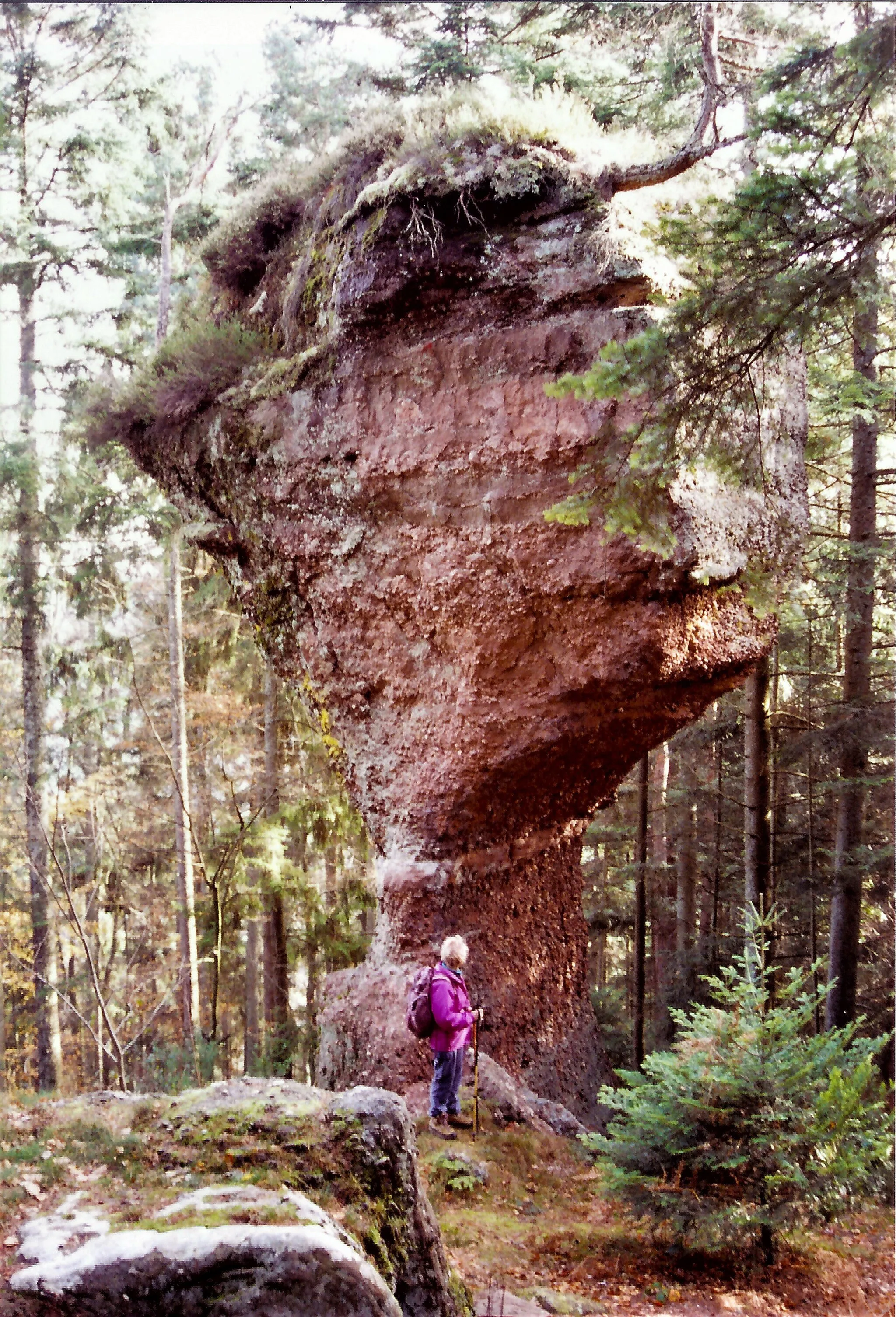 Photo showing: Rocher nommé pierre trois jambes. Taintrux. Vosges.
