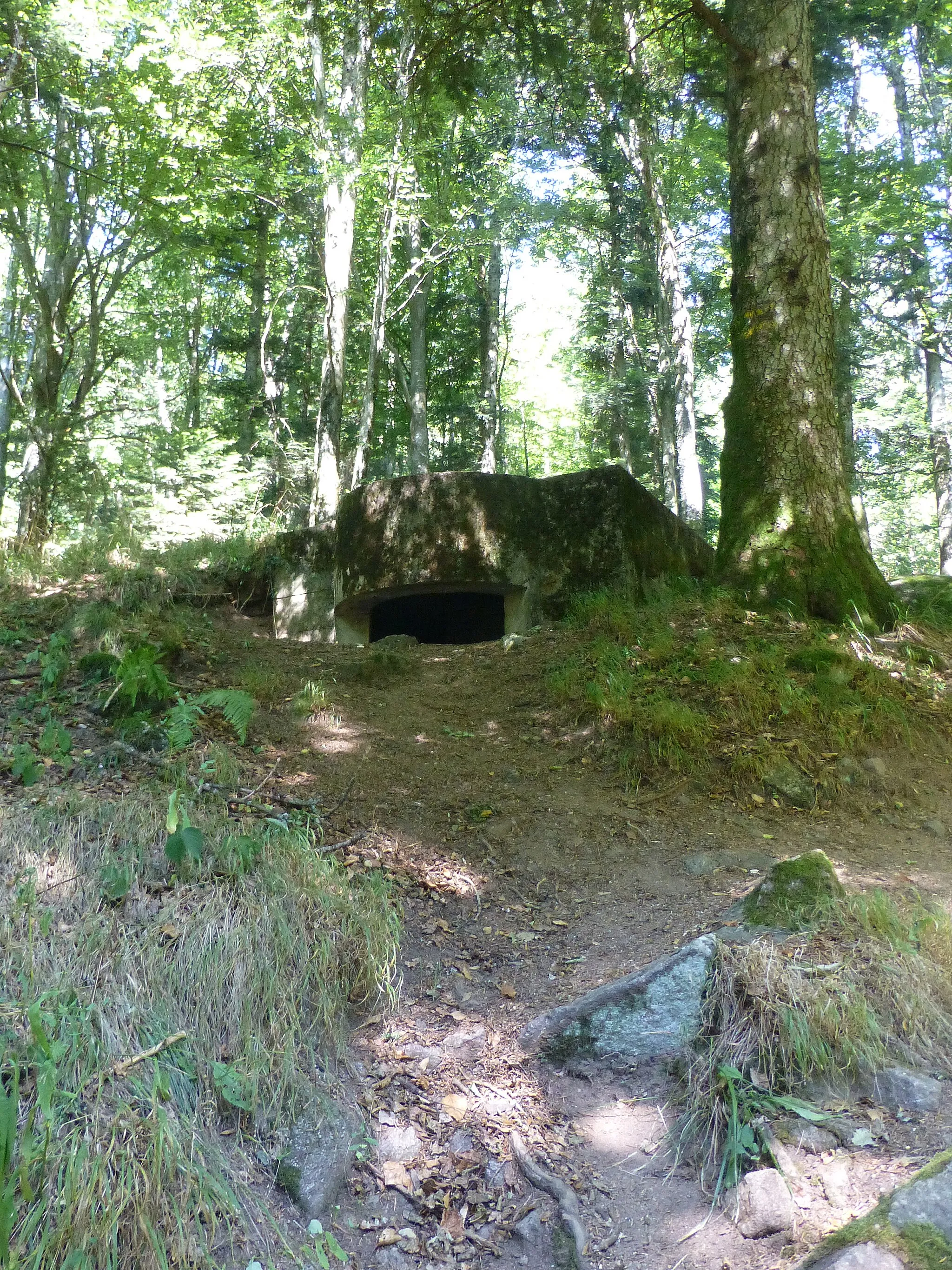 Photo showing: Vestiges aux abords du château de Faîte (Wisembach, Vosges). Bunker à mitrailleuse allemand en montant vers le Haut de Faîte (selon [1]).