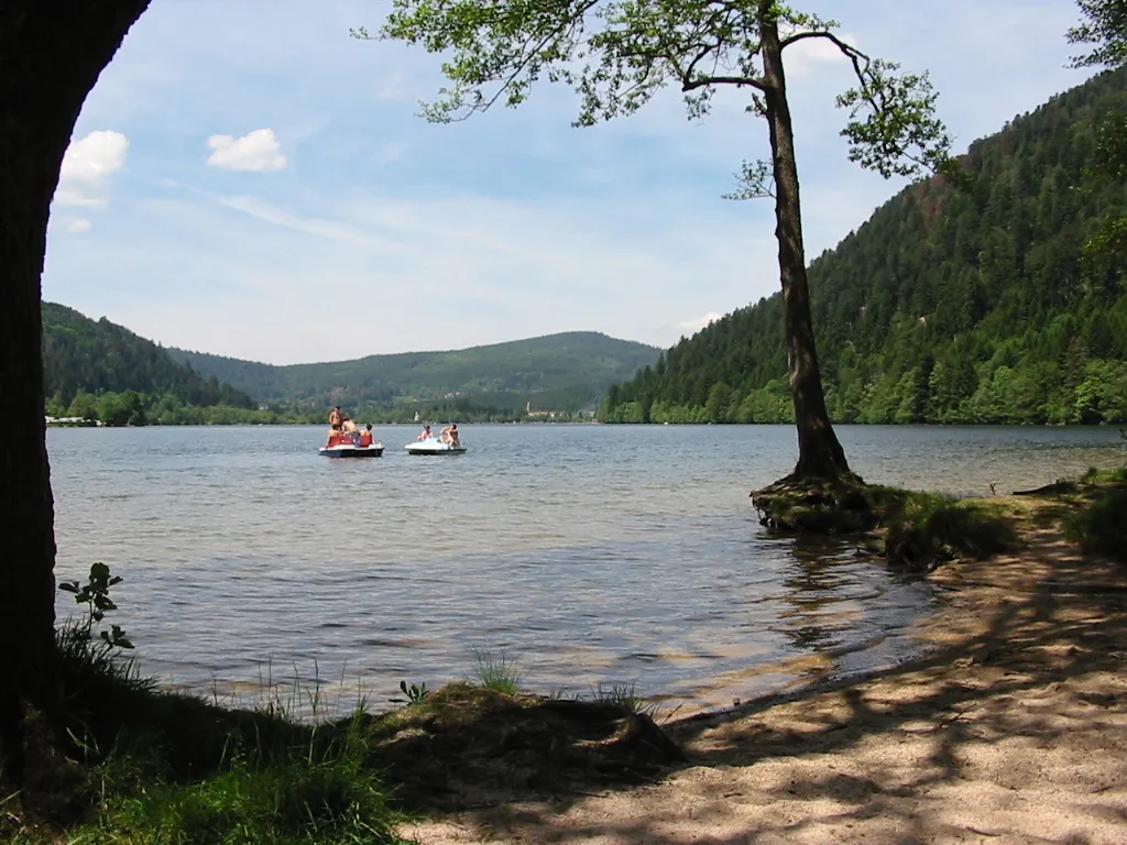 Photo showing: Lac de Longemer

Commune de Xonrupt-Longemer (88400), France
Photographie personnelle prise le 9 juin 2004.
Copyright © Christian Amet