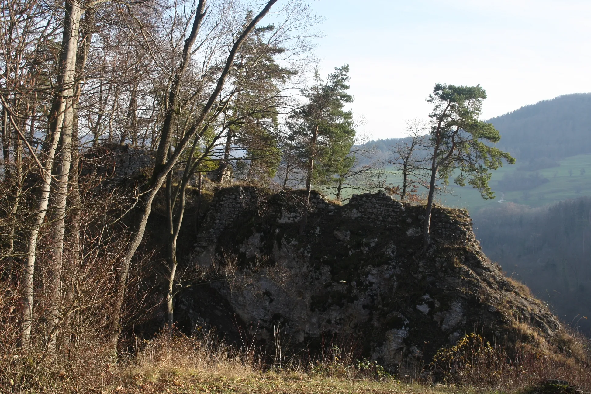 Photo showing: Ruine Frohberg, Aesch, Basel-Land, Schweiz