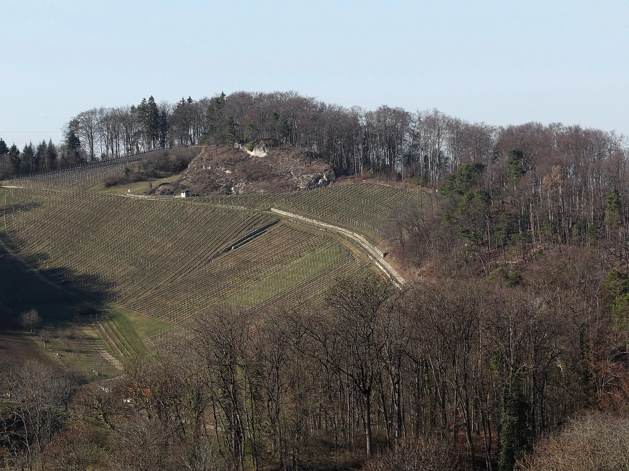 Photo showing: Ruine Frohberg von der Ruine Münchsberg aus gesehen