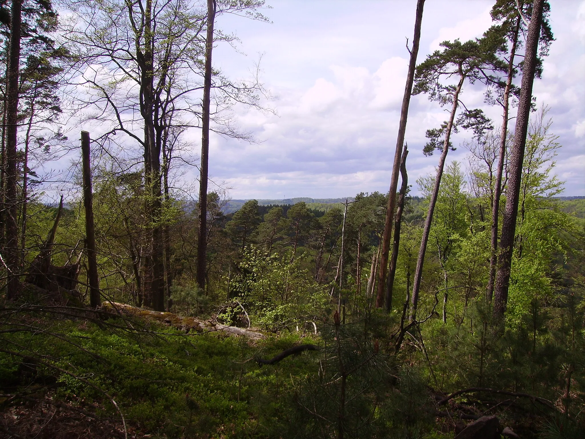 Photo showing: Photo prise dans la forêt d'Offwiler qui donne une vue sur Goetzenbruck