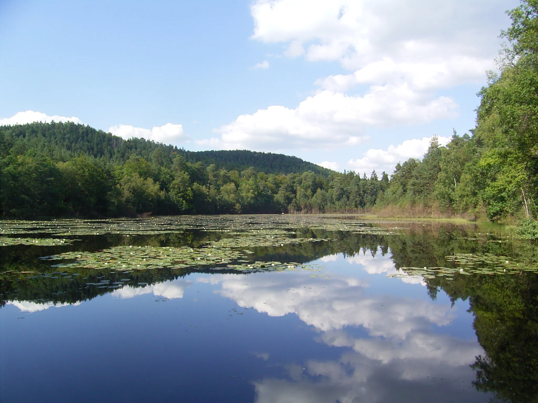 Photo showing: Lieschbach pond, Philippsbourg, Moselle, France