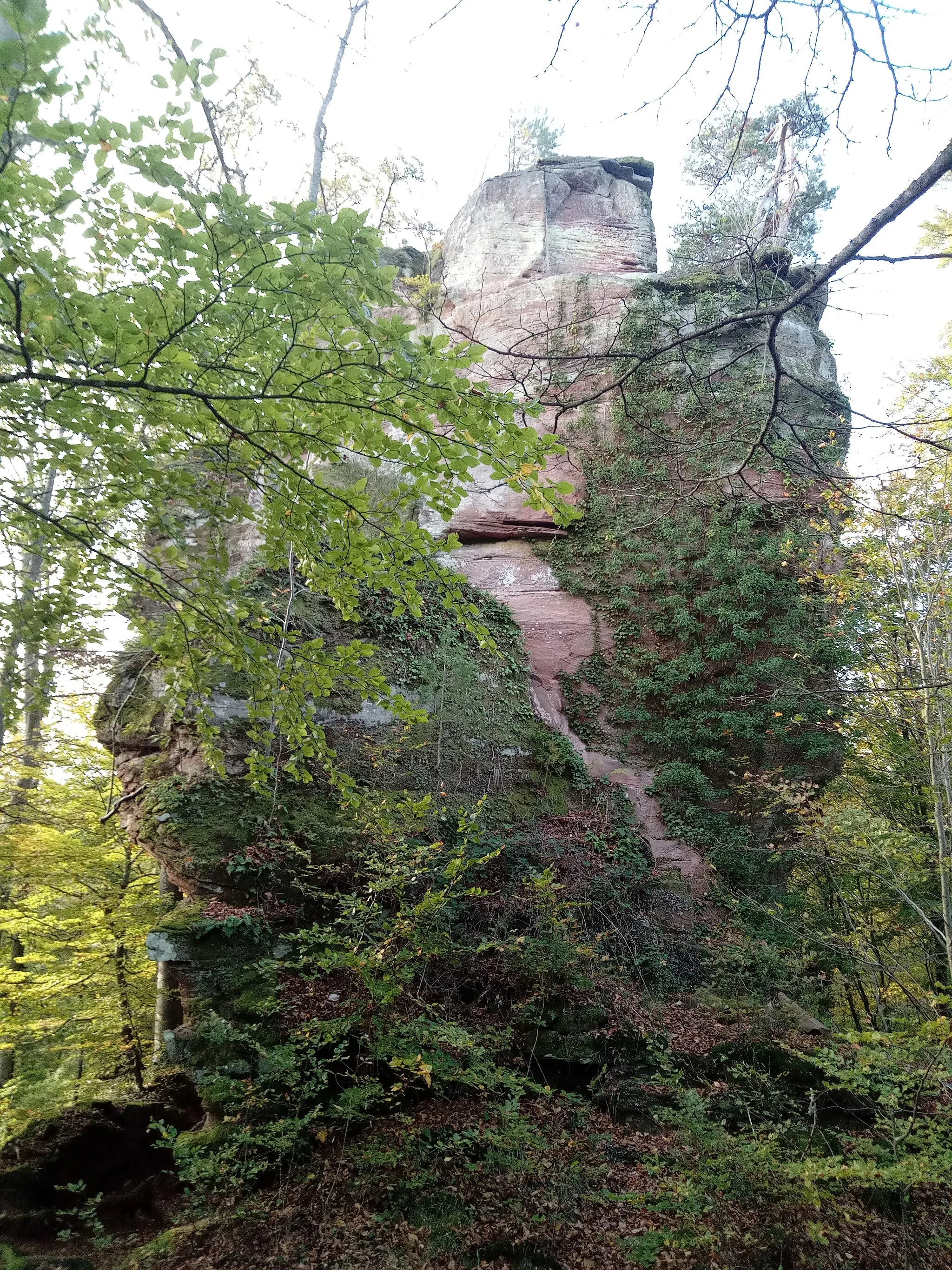 Photo showing: Elsaß-Tour 2019-10-31 34 Chateau du Helfenstein