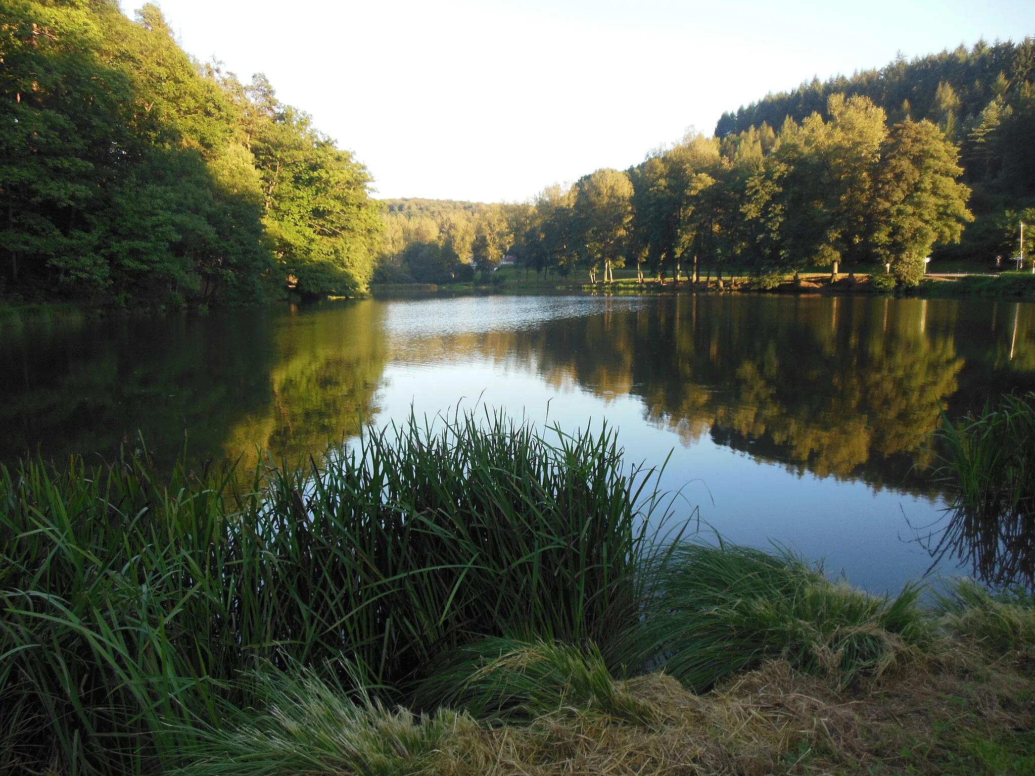Photo showing: Pond of the Saint-Louis-lès-Bitche Watermill