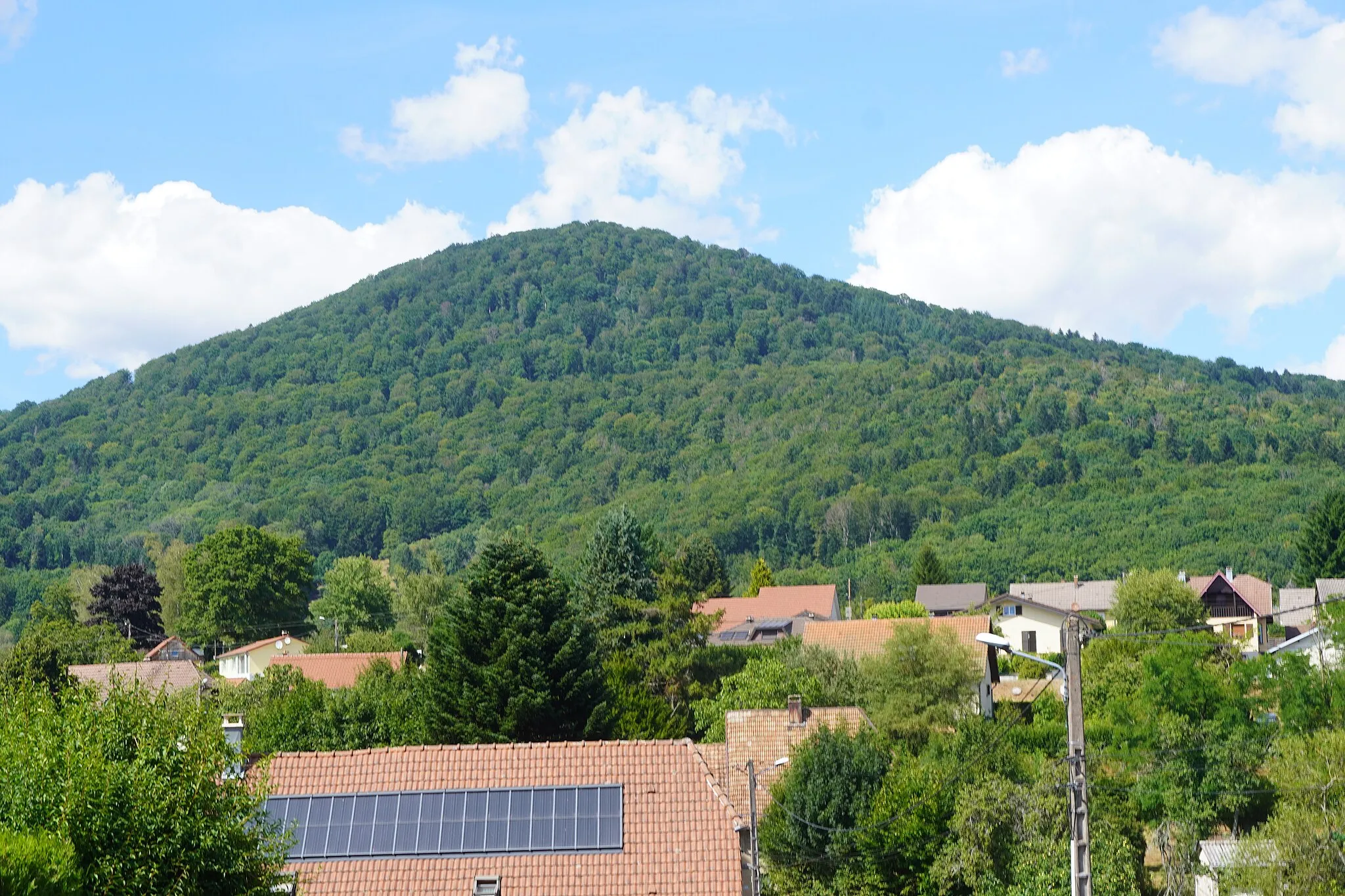 Photo showing: Le Fayé (massif des Vosges).
